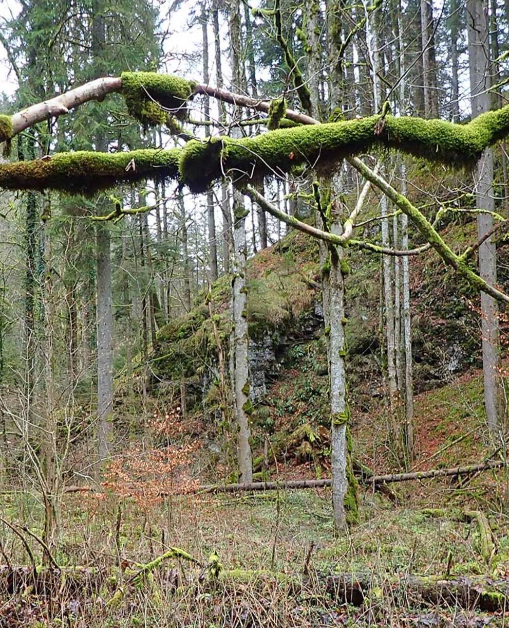 Tagesexkursion Combe Tabeillon