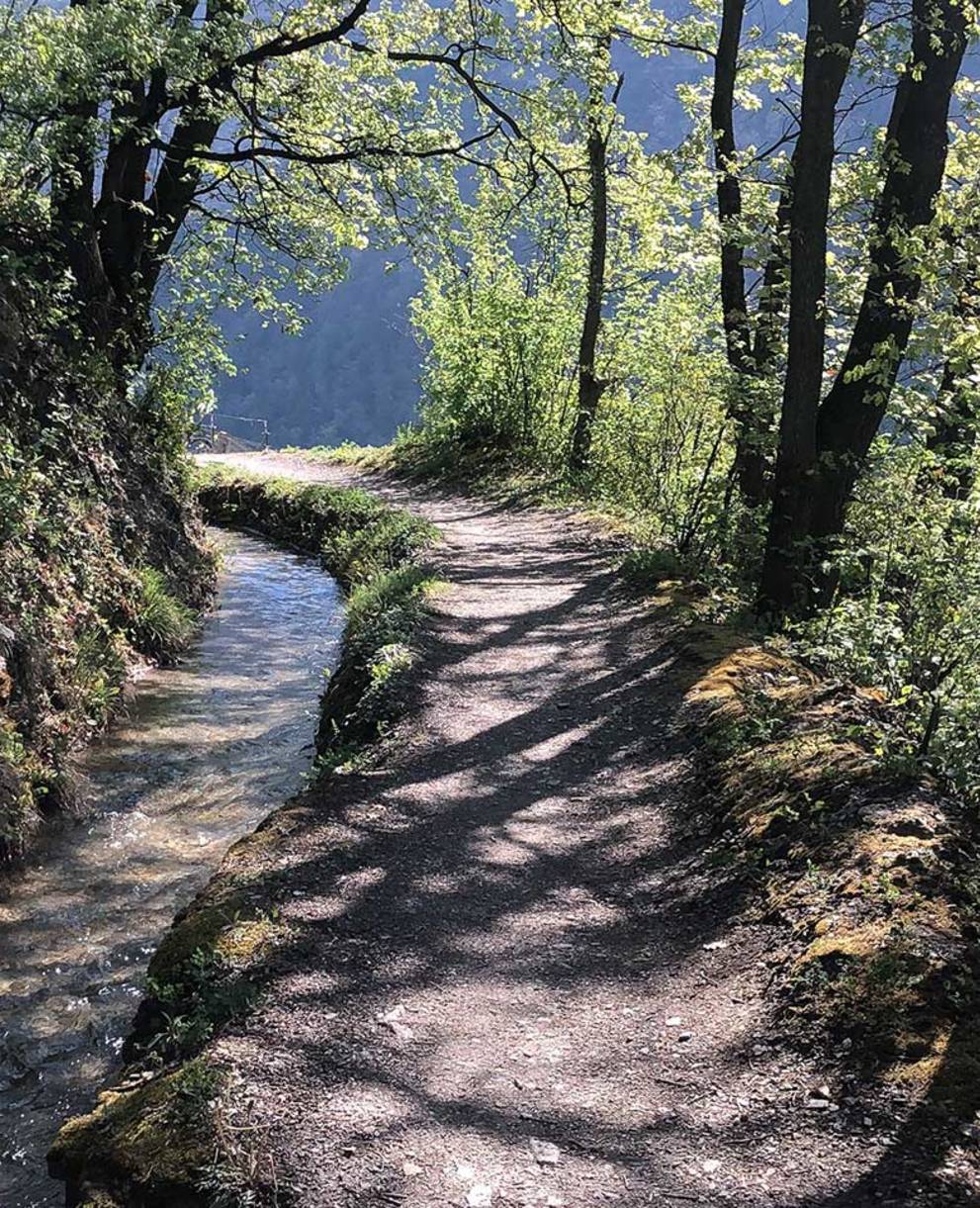 Tagesexkursion Suonen bei Mund VS