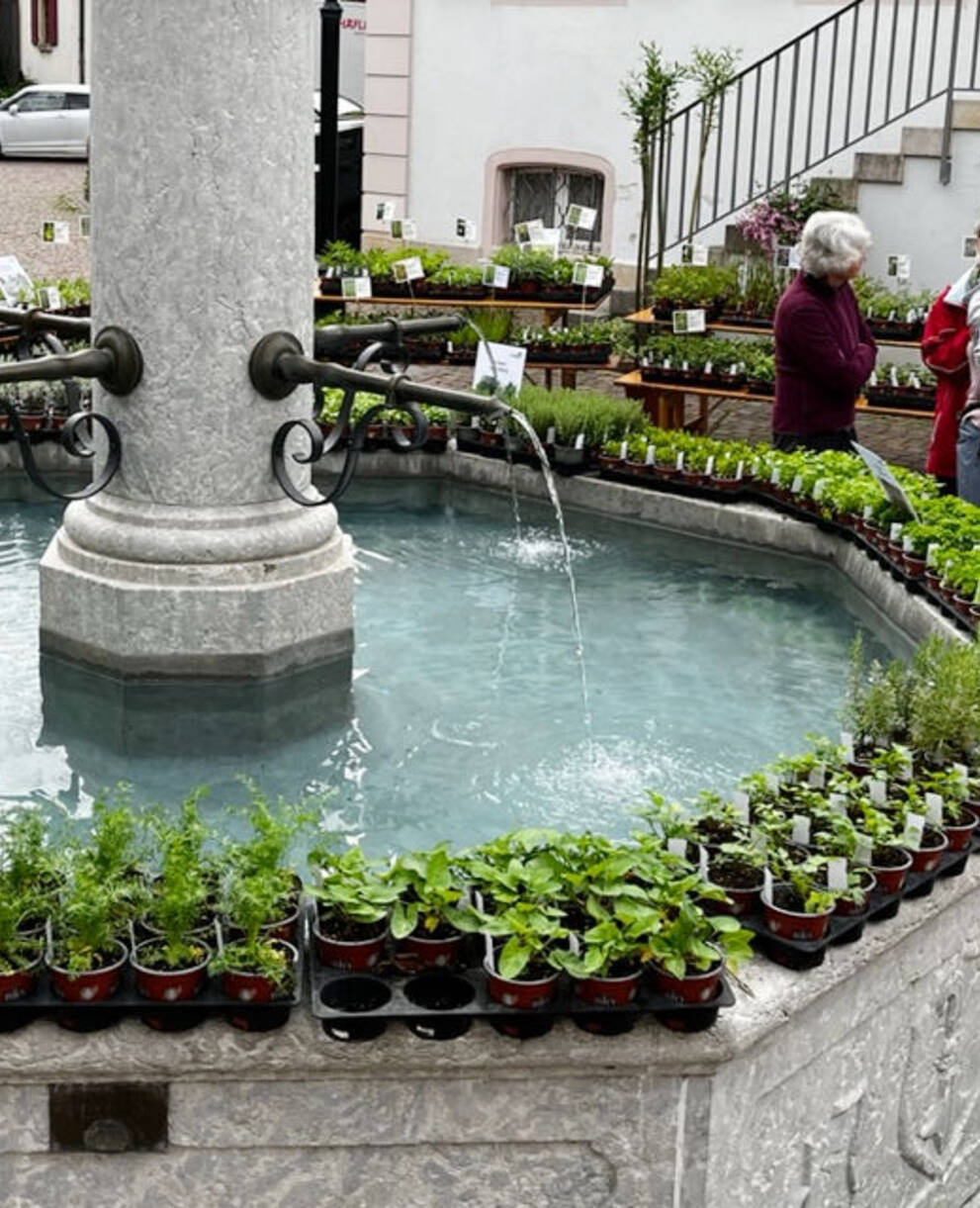 Wildpflanzen- und Kräutermarkt Arlesheim