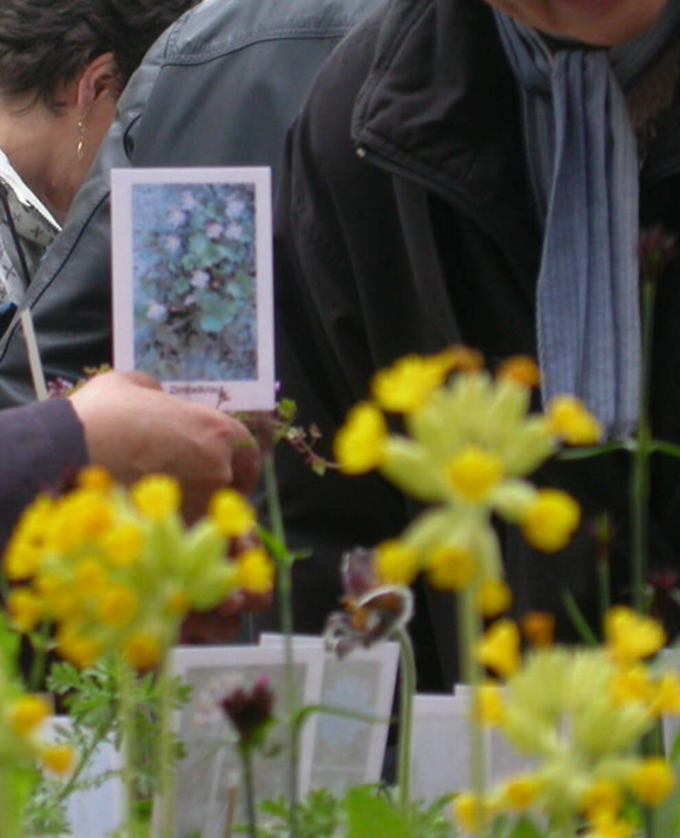 Wildpflanzen- und Kräutermarkt Laufen