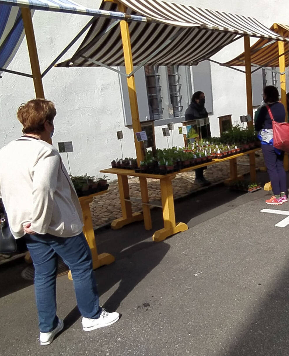 Wildpflanzen- und Kräutermarkt Liestal