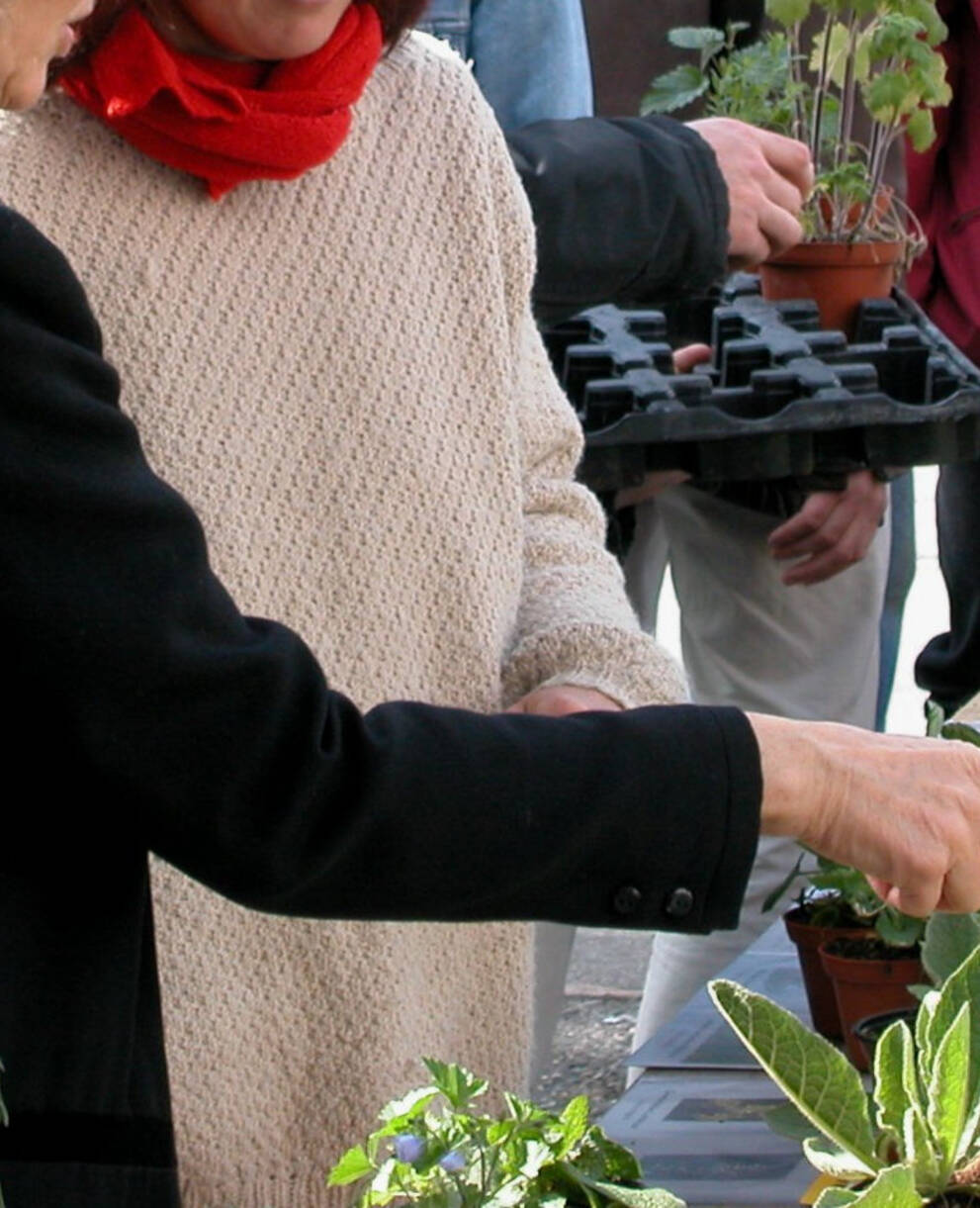Wildpflanzen- und Kräutermarkt Sissach