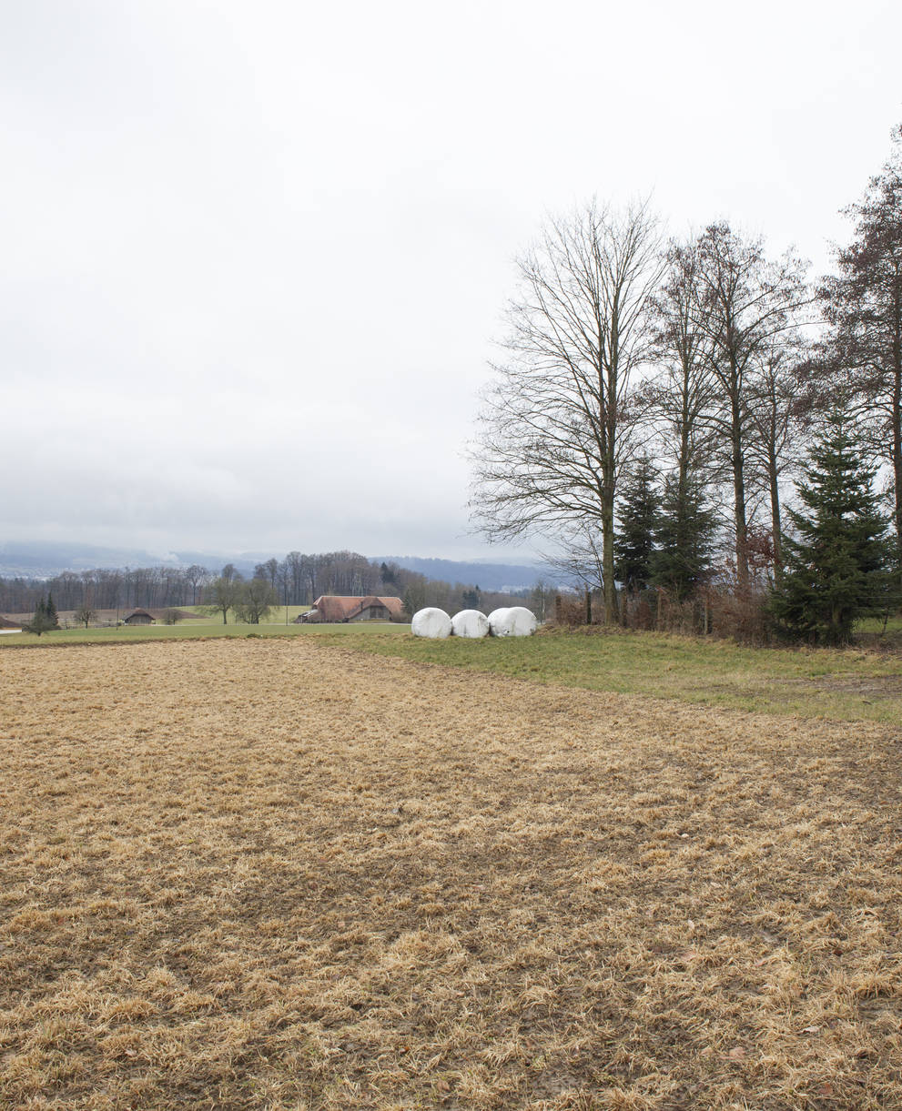 Glyphosateinsatz auf Feld