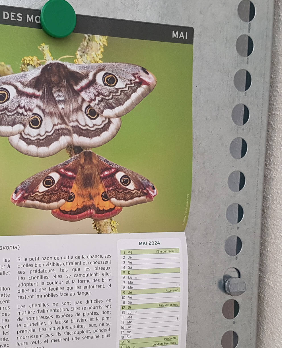 Kalender «Jetzt in der Natur» FR