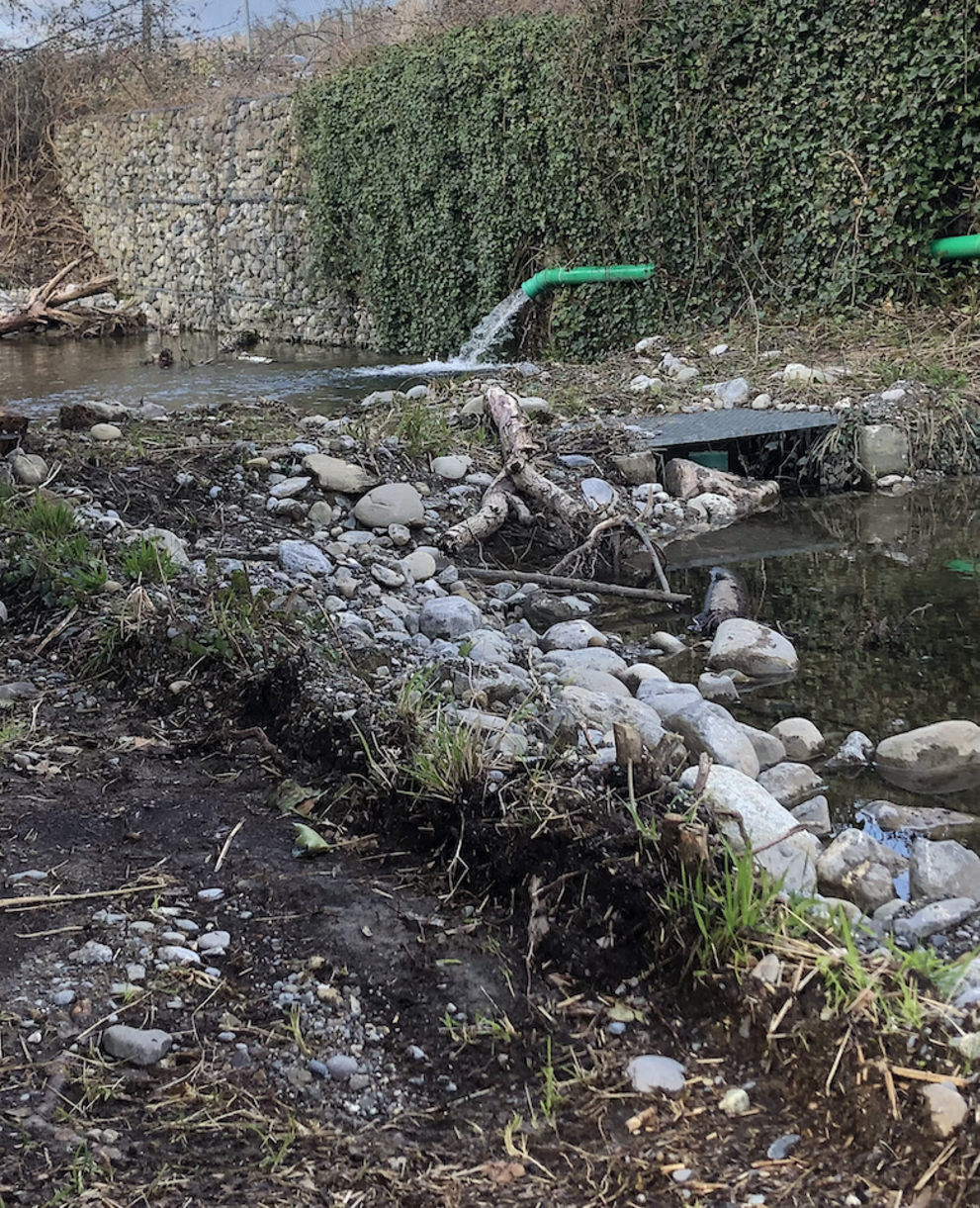 neu gestaltete Weiher in der Fischermatt, Gelfingen