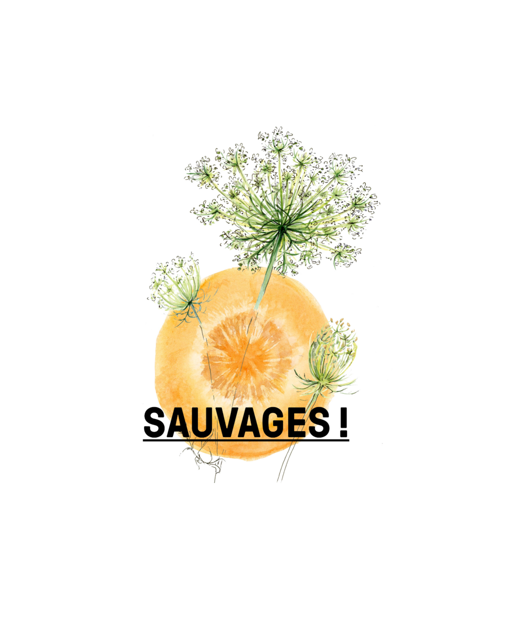 sauvages