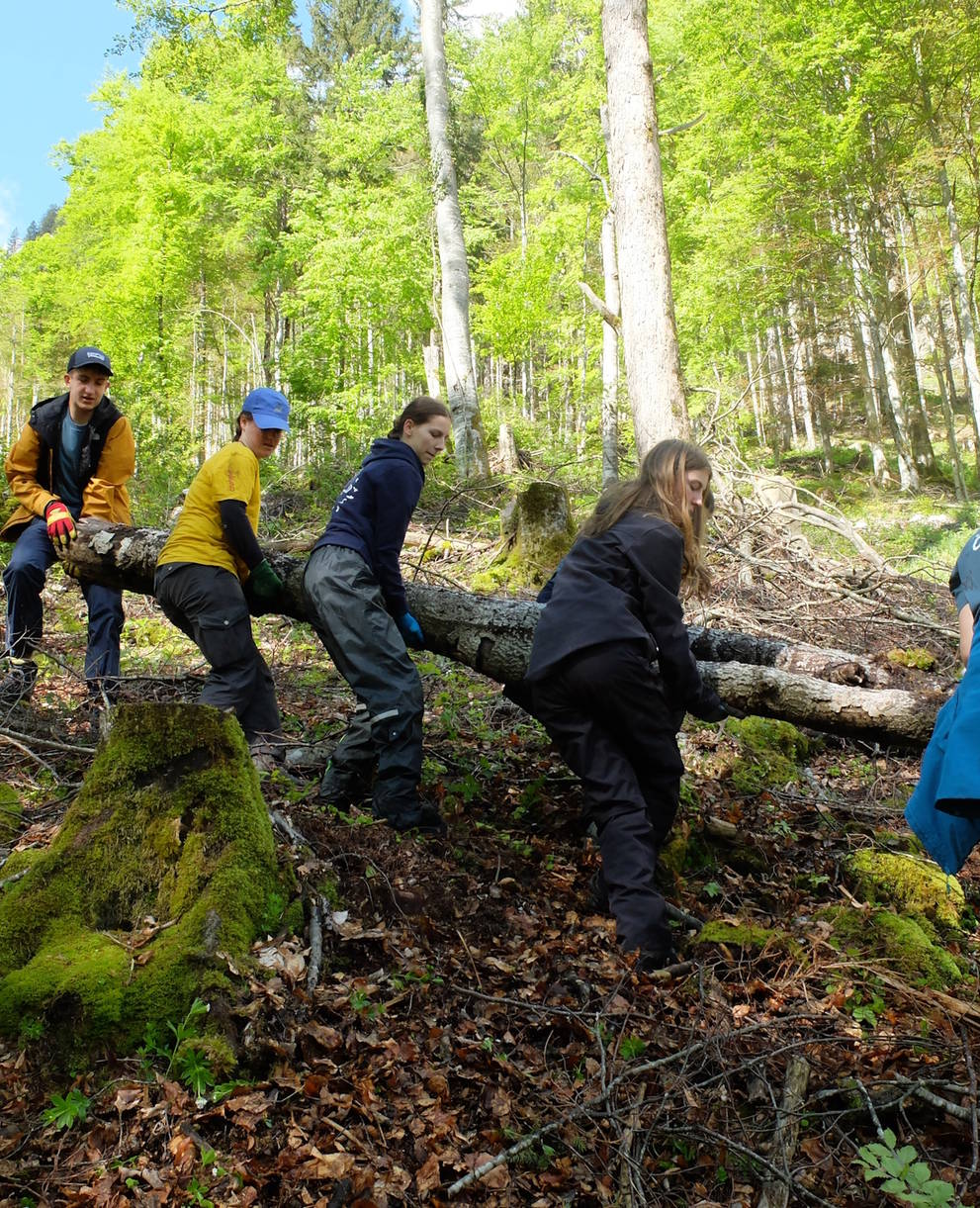 Enfants et jeunes s’engagent pour la nature durant Écotopia 2024