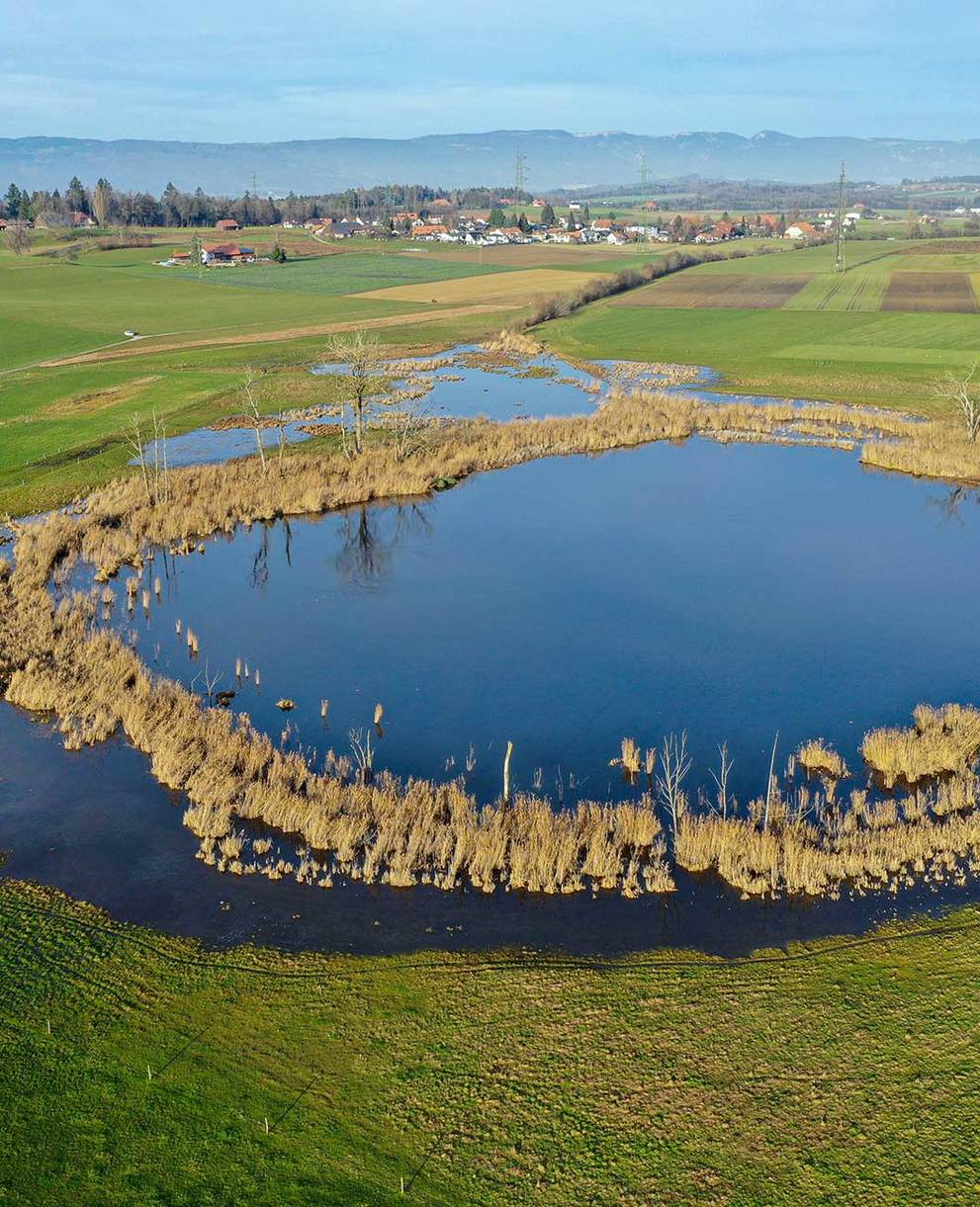 Lobsigensee BE