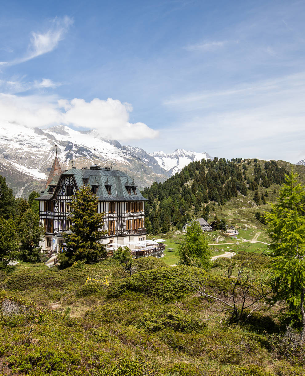 Alpengarten im Zentrum Aletsch