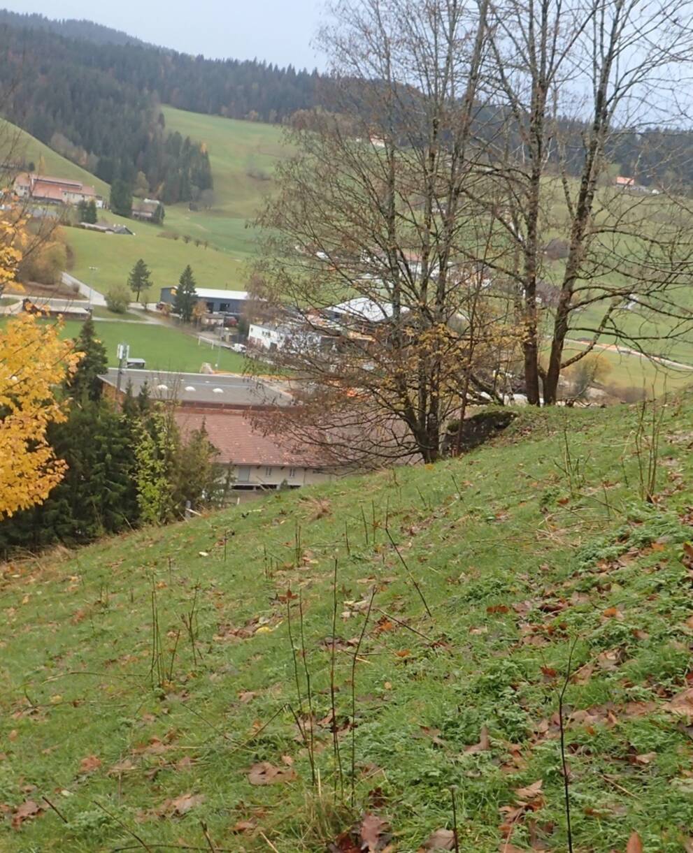 Côte des Billodes
