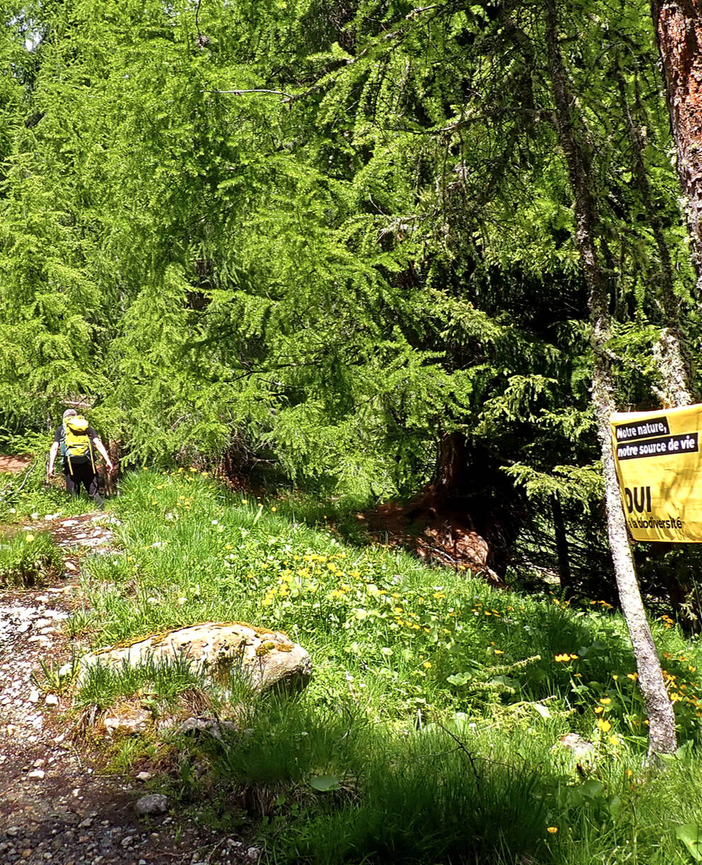 Drapeau de la campagne Oui à la biodiversité accroché au bord du chemin le 22 septembre