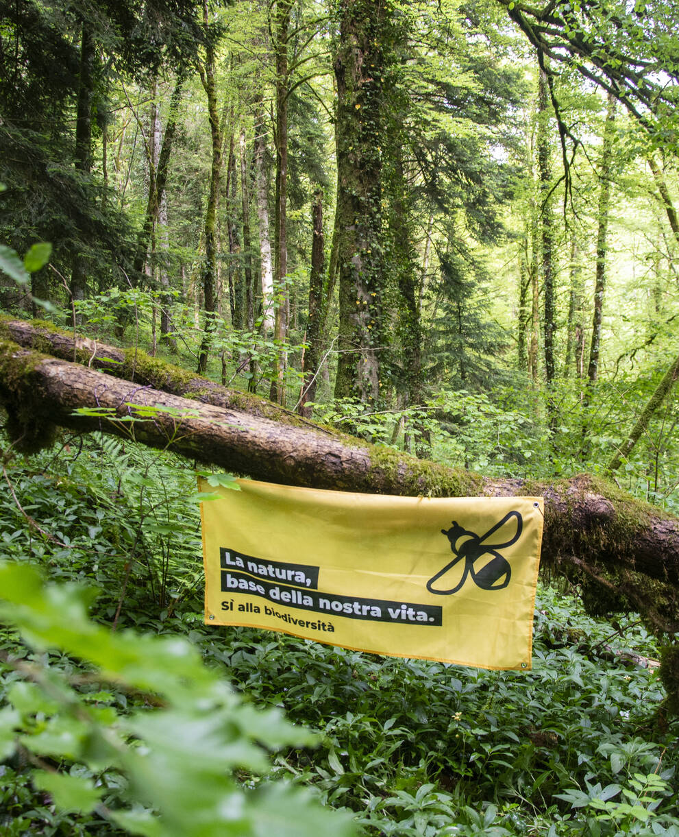 Fahne Biodiversitätsinitiative