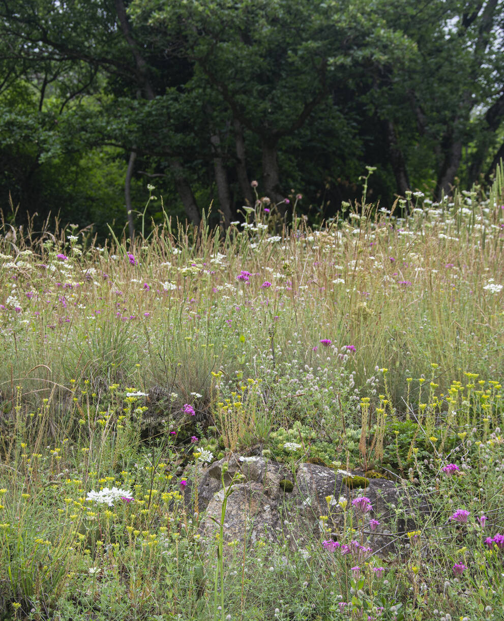Naturschutzgebiet Les Follateres