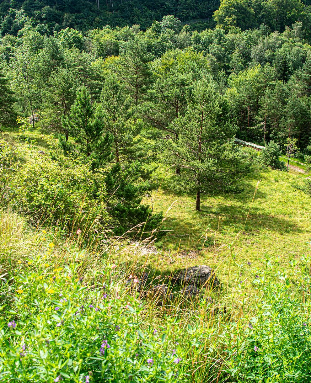 Gipsgrube Kienberg