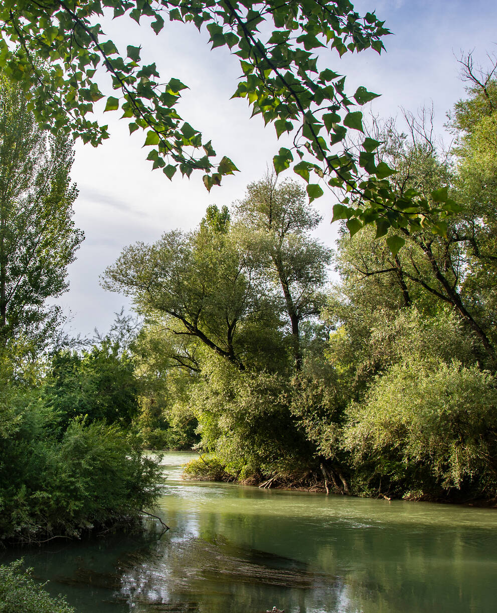 Zusammenfluss Aare und Limmat