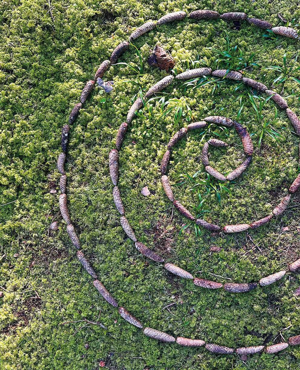 Spirale d'escargot