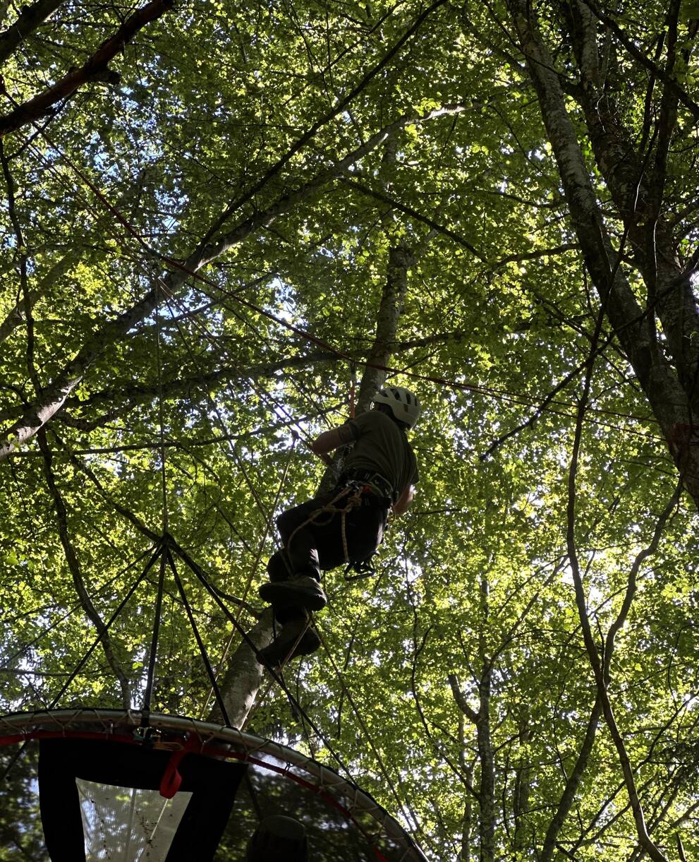 Personne qui grimpe dans les arbres