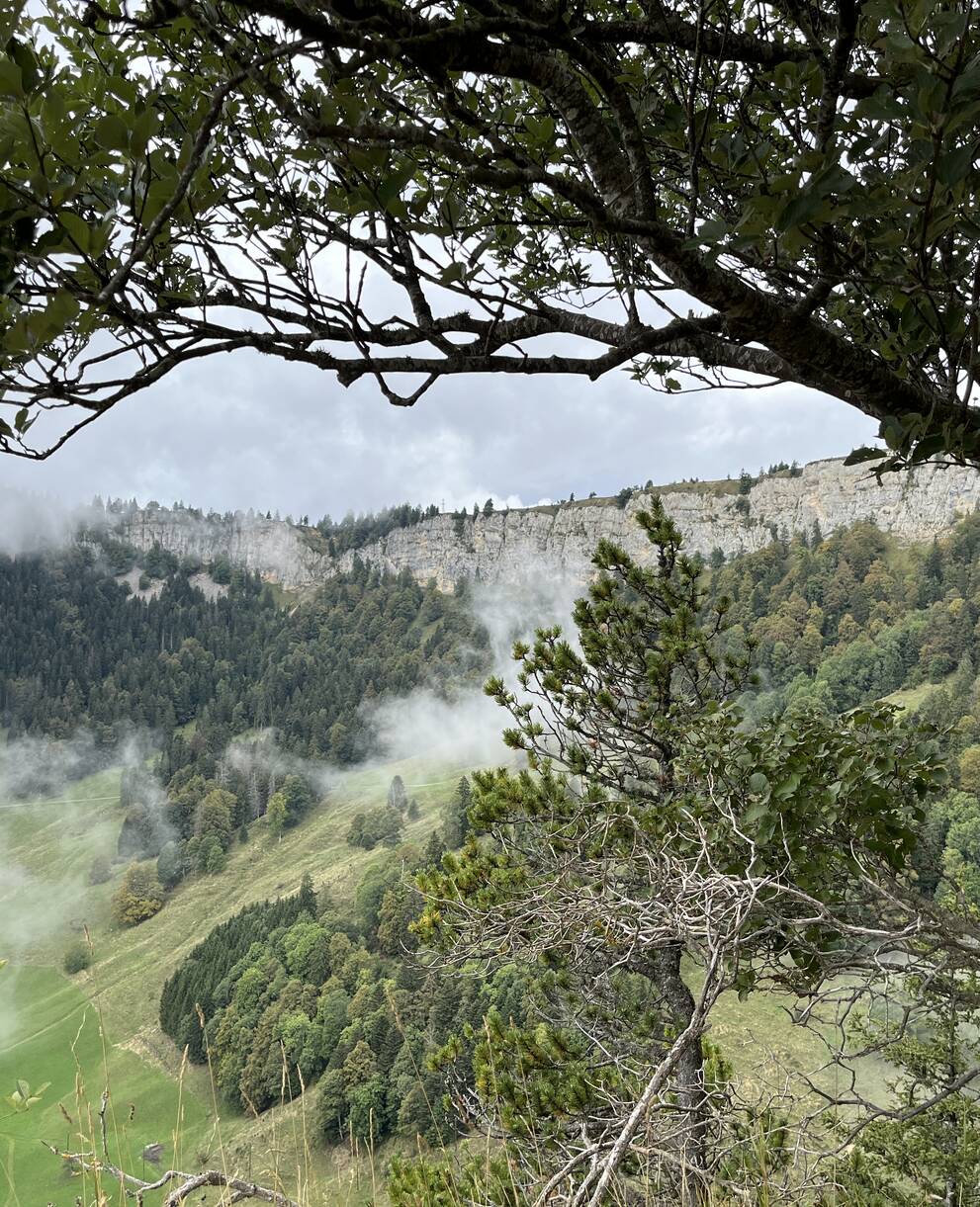 Panorama Bettlachstock