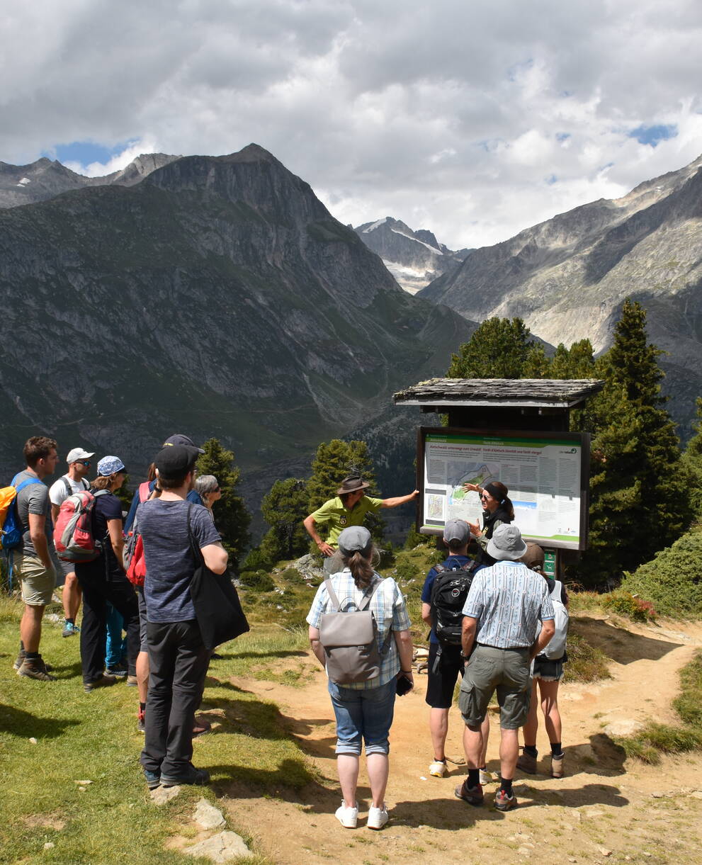 Ranger im Aletschwald