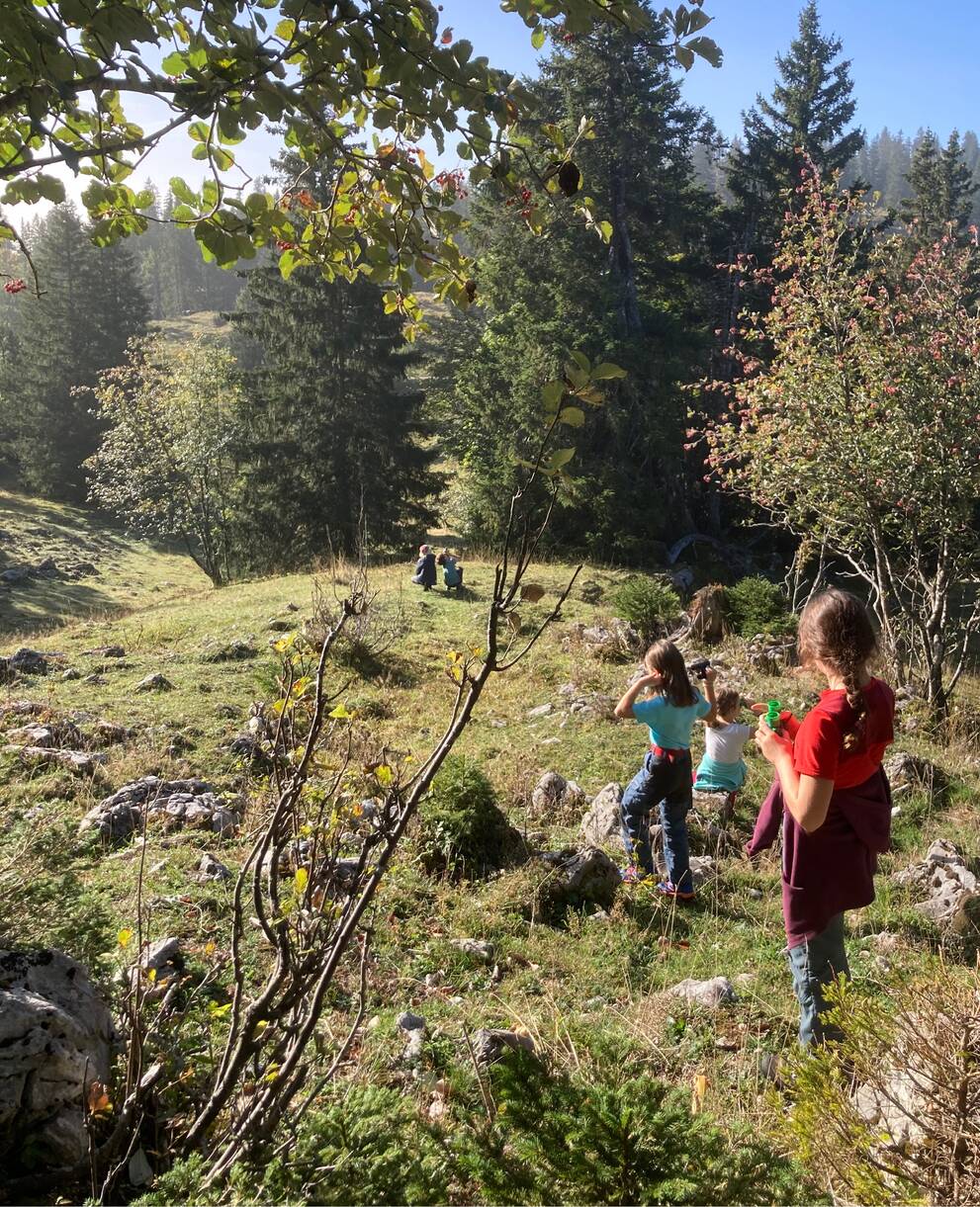 Weekend Jura cerf