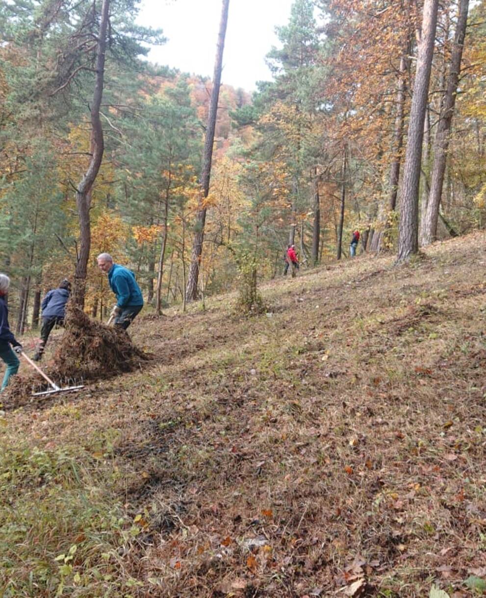 Pflegeeinsatz im Schutzgebiet Laadel