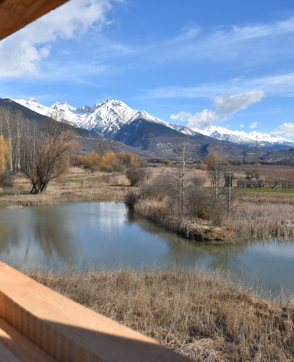 2024_marais_ardon_chamoson_1920x960_cr_marjorie_bonvin