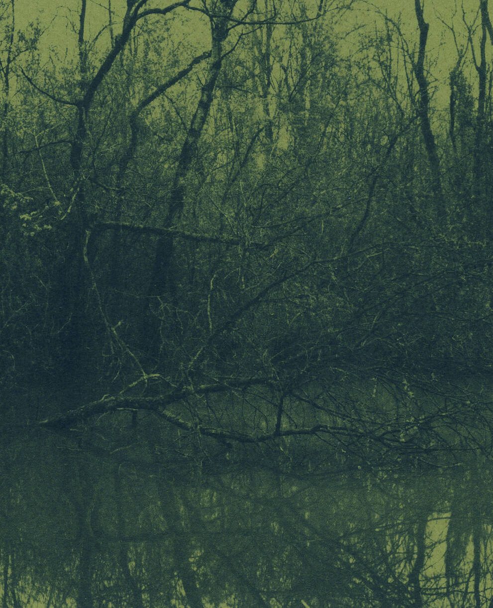 Cyanotype