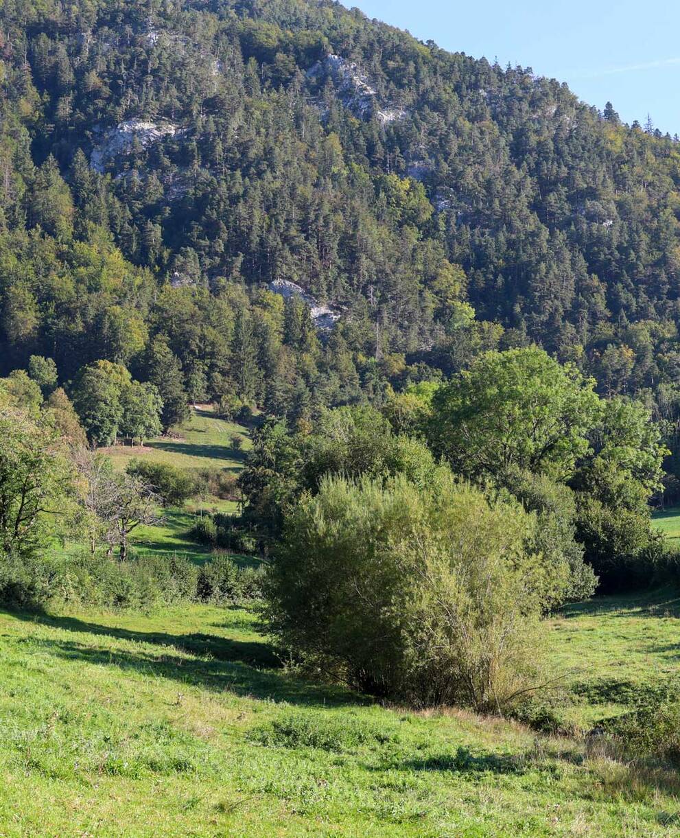 Vacances en faveur de la nature, Le Crât, Crémines BE - Chantier entretien