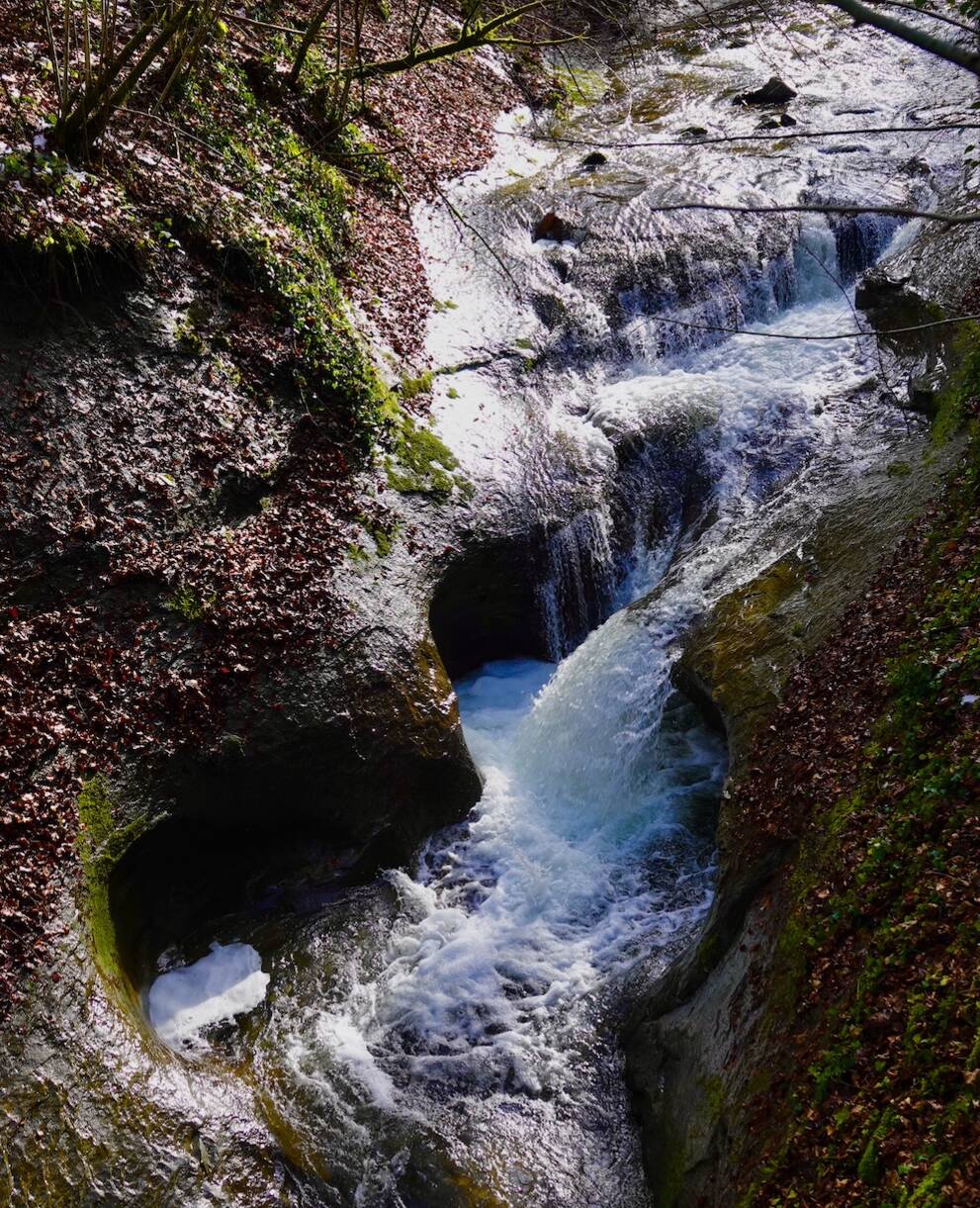 La Bressonne