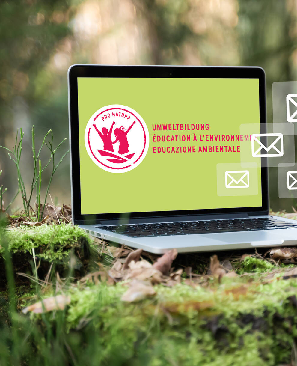 Newsletter Umweltbildung