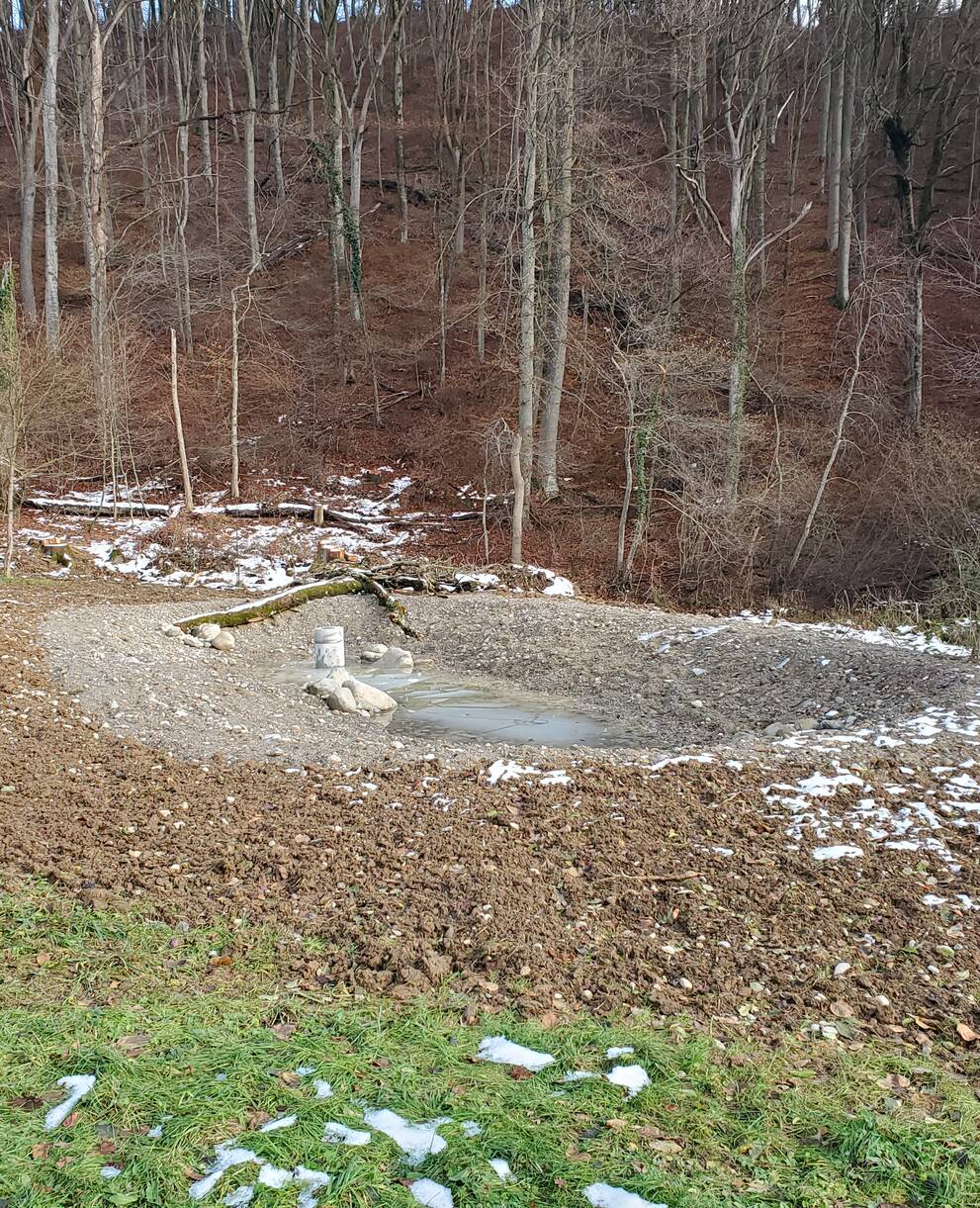 Neuer Weiher in der Tüüfels-Chuchi
