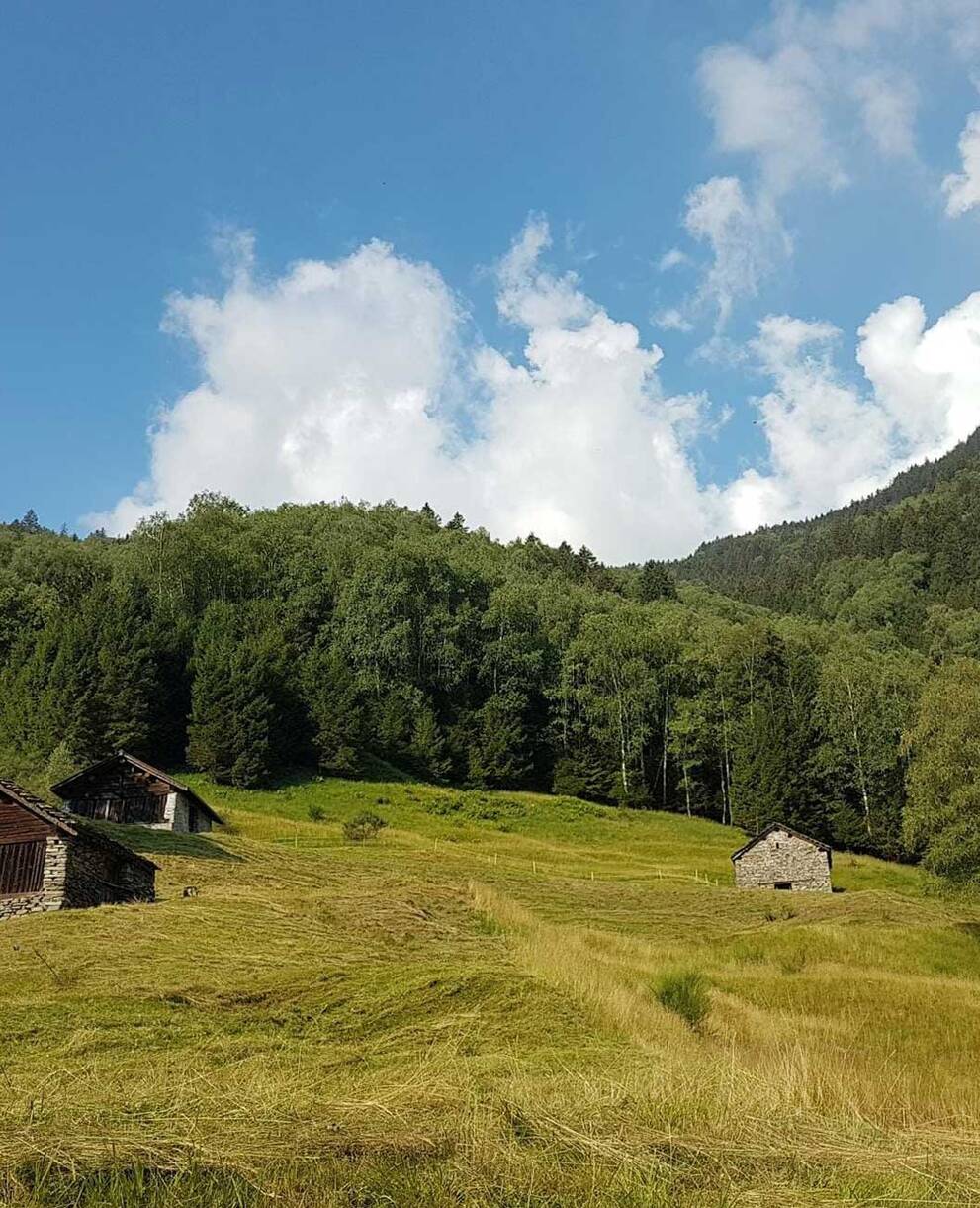 Ferienarbeitswoche, Soazza, Misox, Graubünden