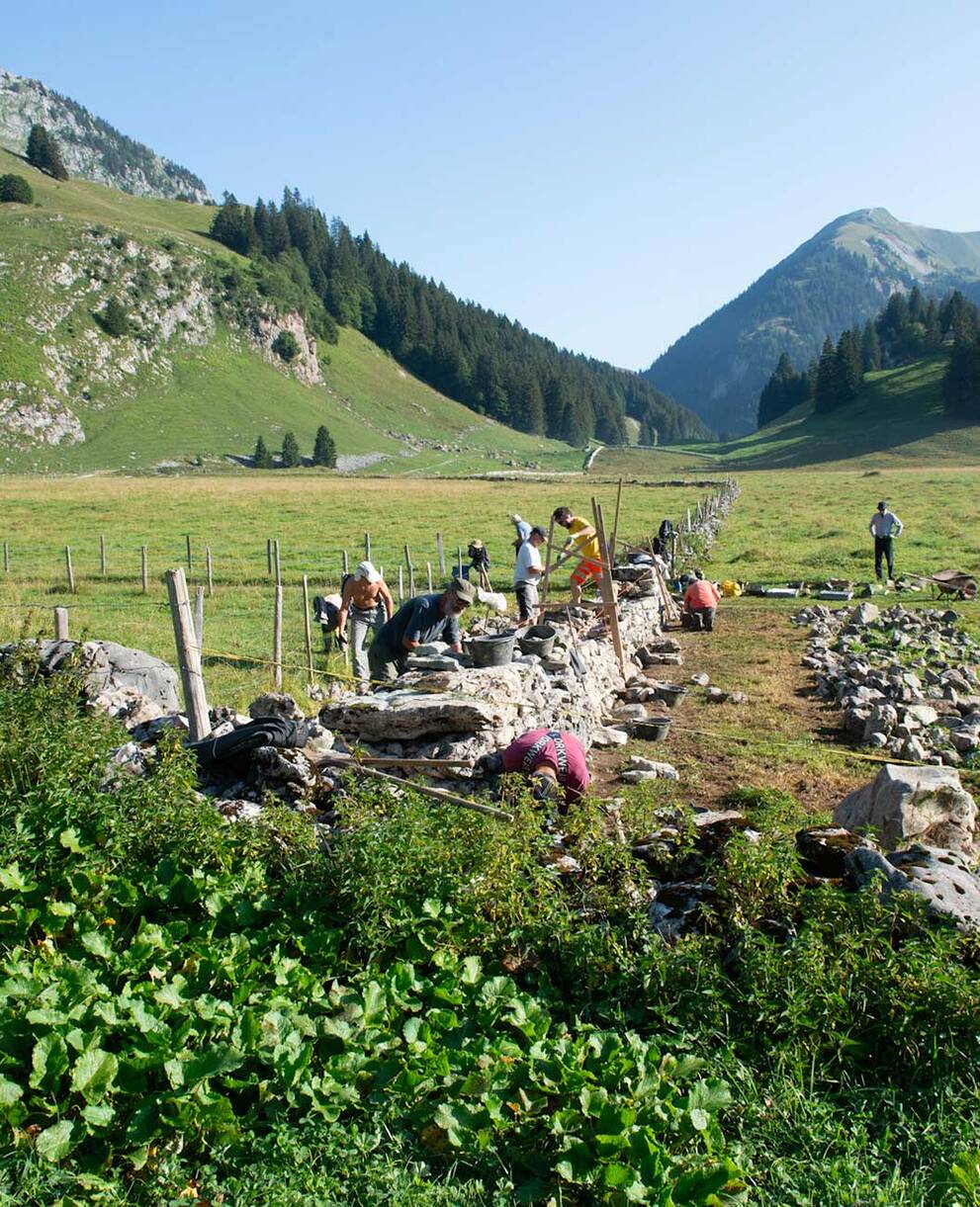 Auf der Alp Le Sori helfen Sie beim Wiederaufbau einer Trockenmauer