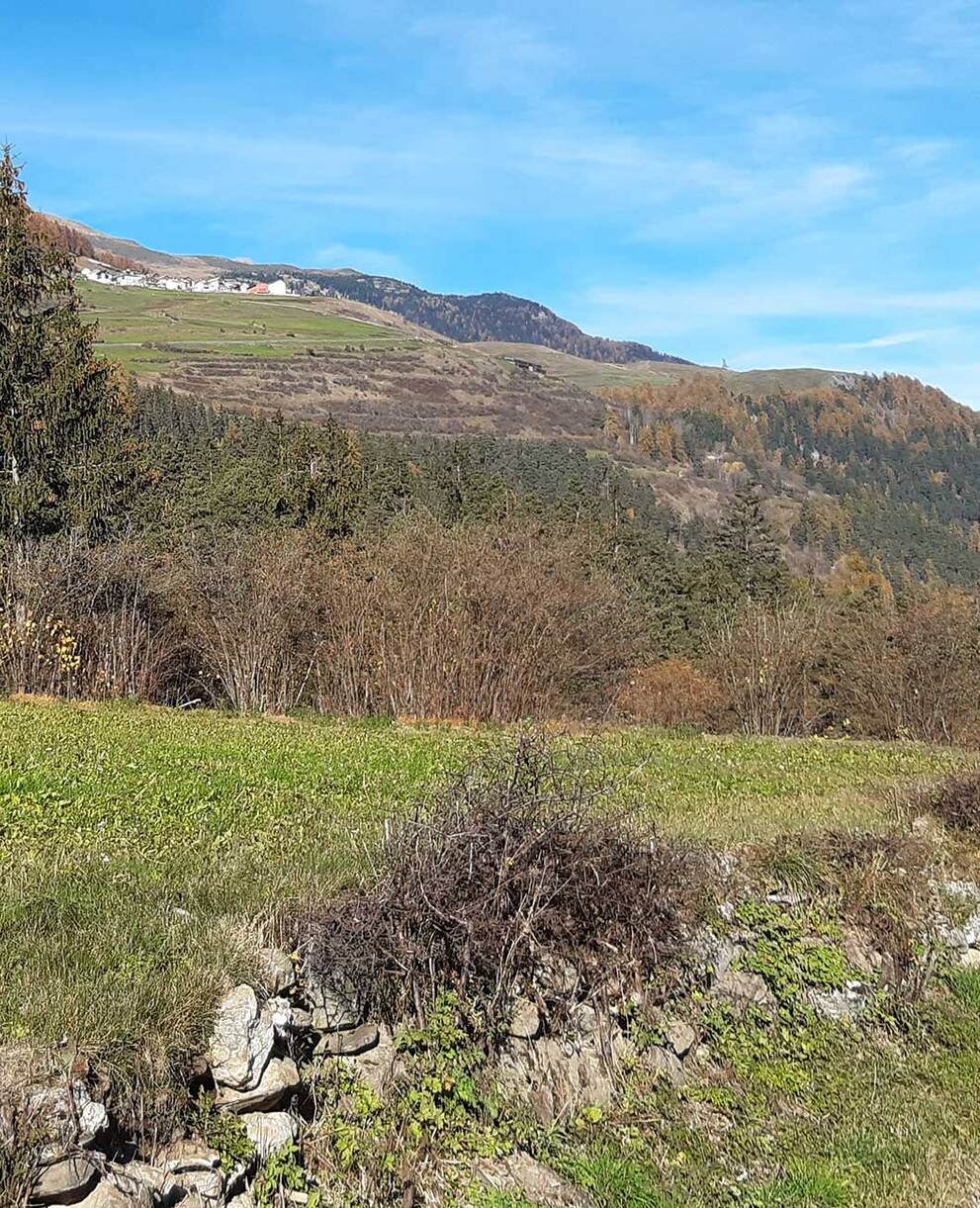 Ferienarbeitswoche, Seraplana, Unterengadin, Graubünden - Trockenmauerbau