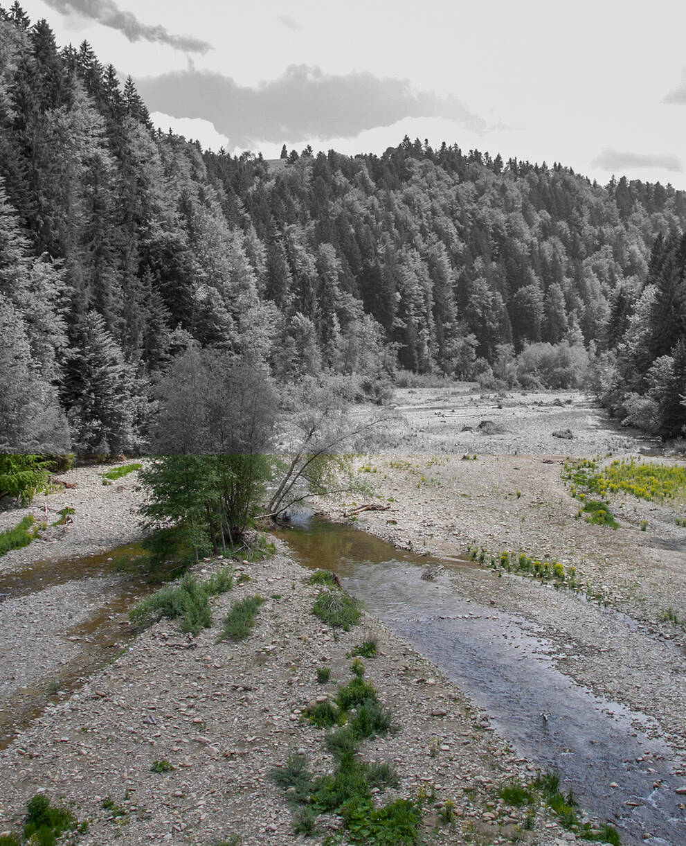 Auengebiet Schwarzwasser