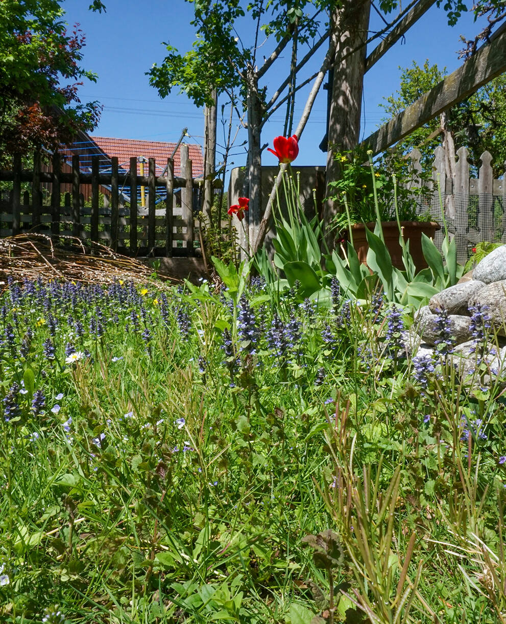 Jardin naturel