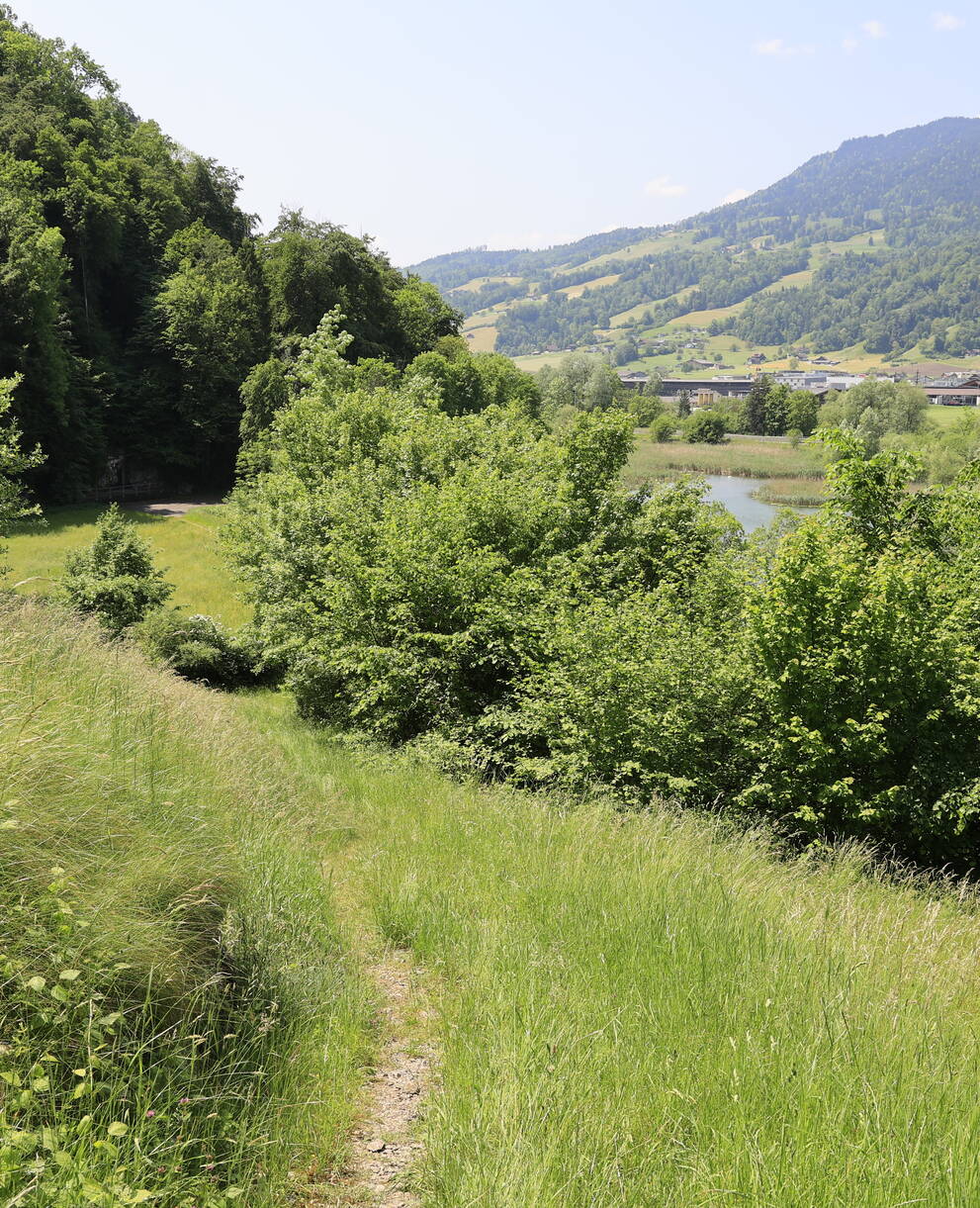 Zöpfen
