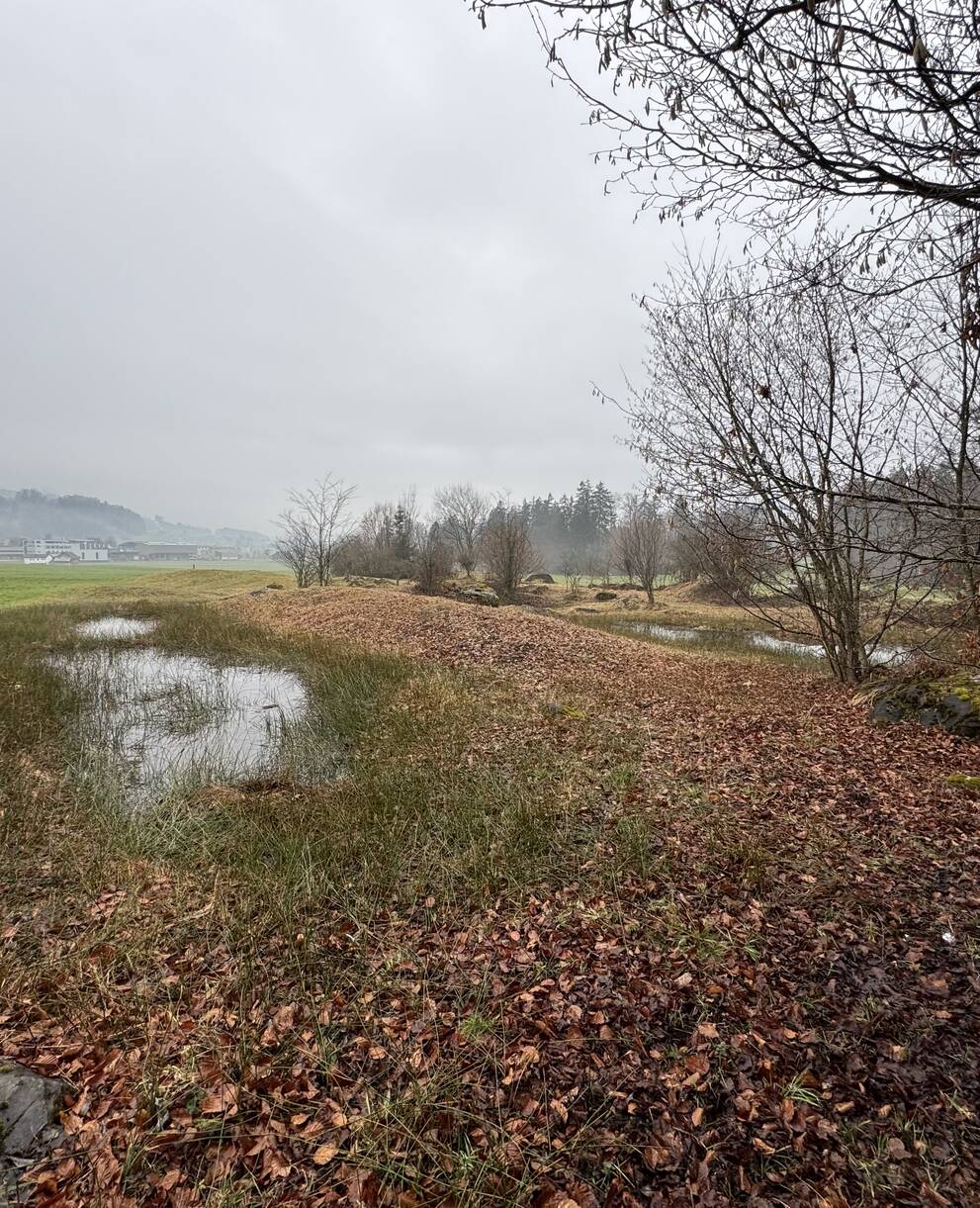 Ingäu Weiher