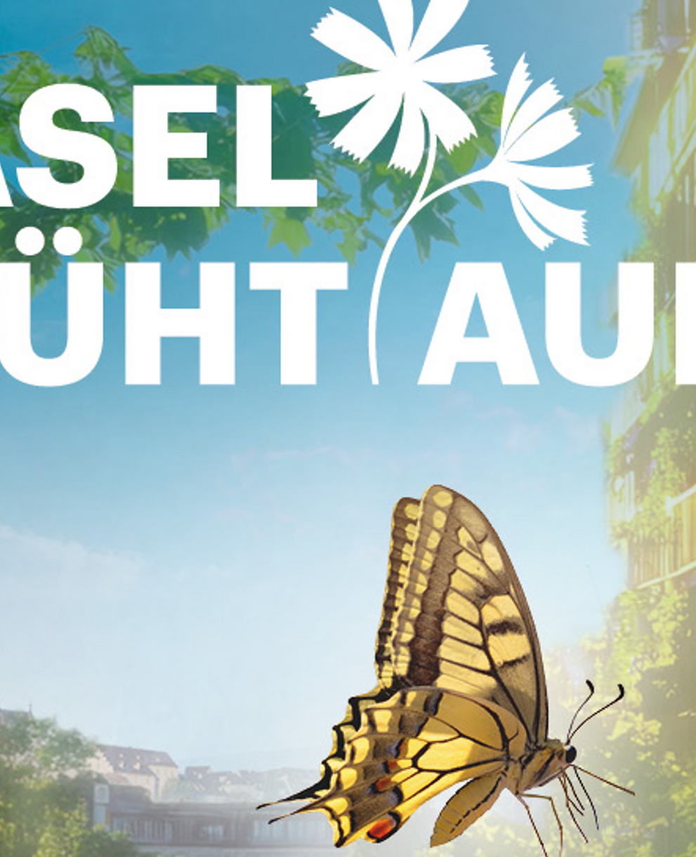 BaselBluehtAub