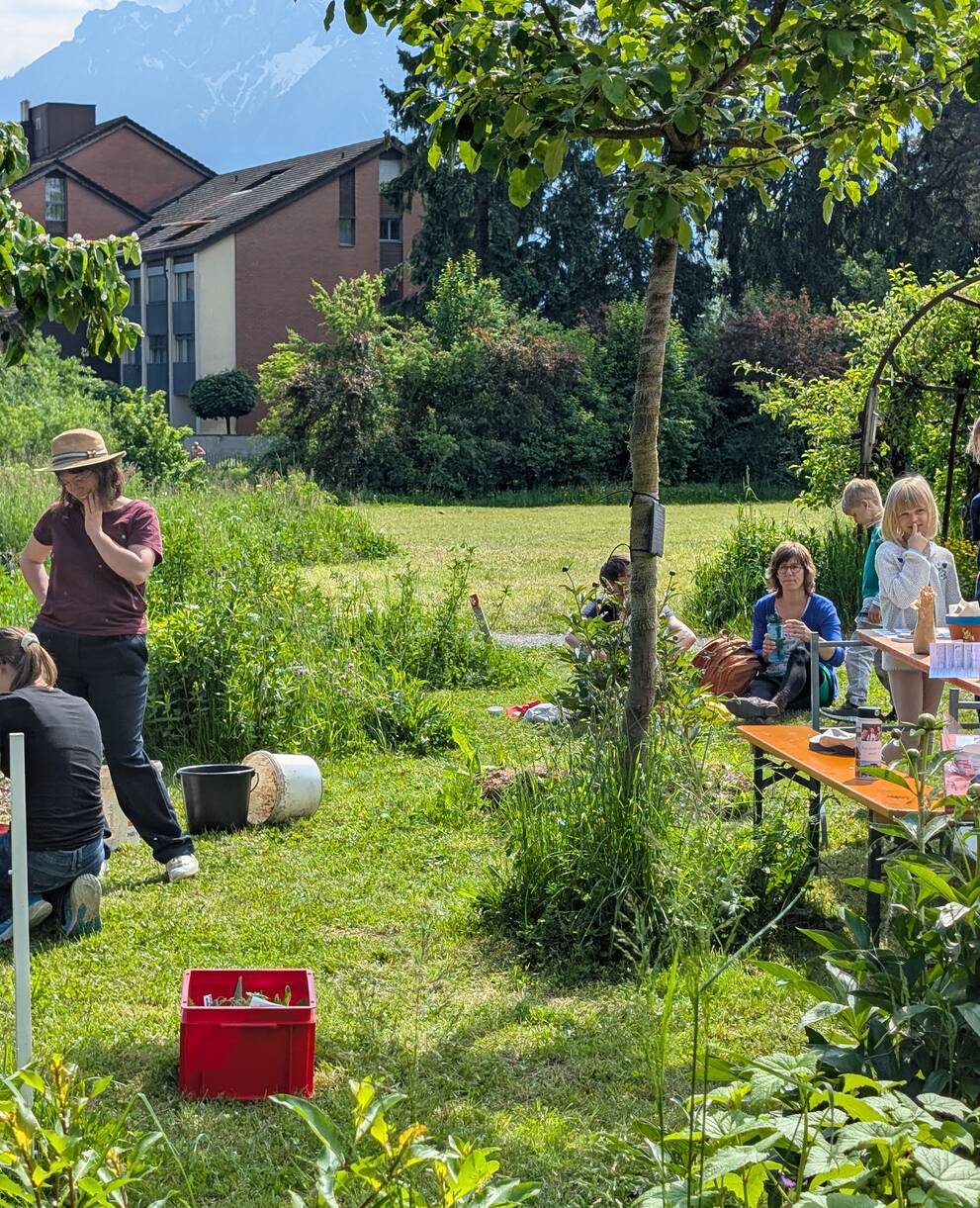 Basteln und Raten mit der Jugendgruppe von Pro Natura Luzern