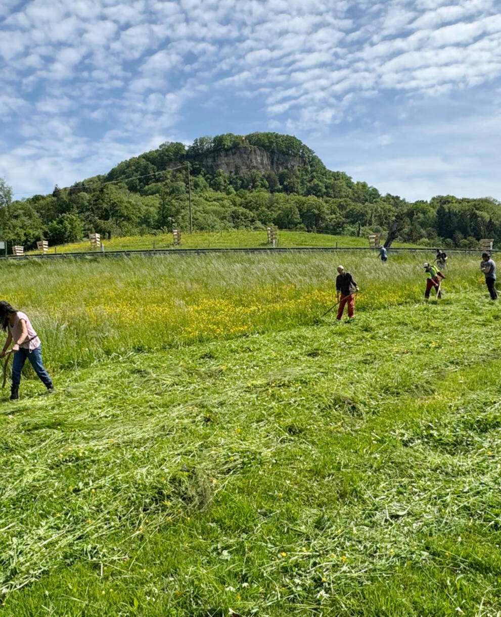 Sensenkurs in Sissach