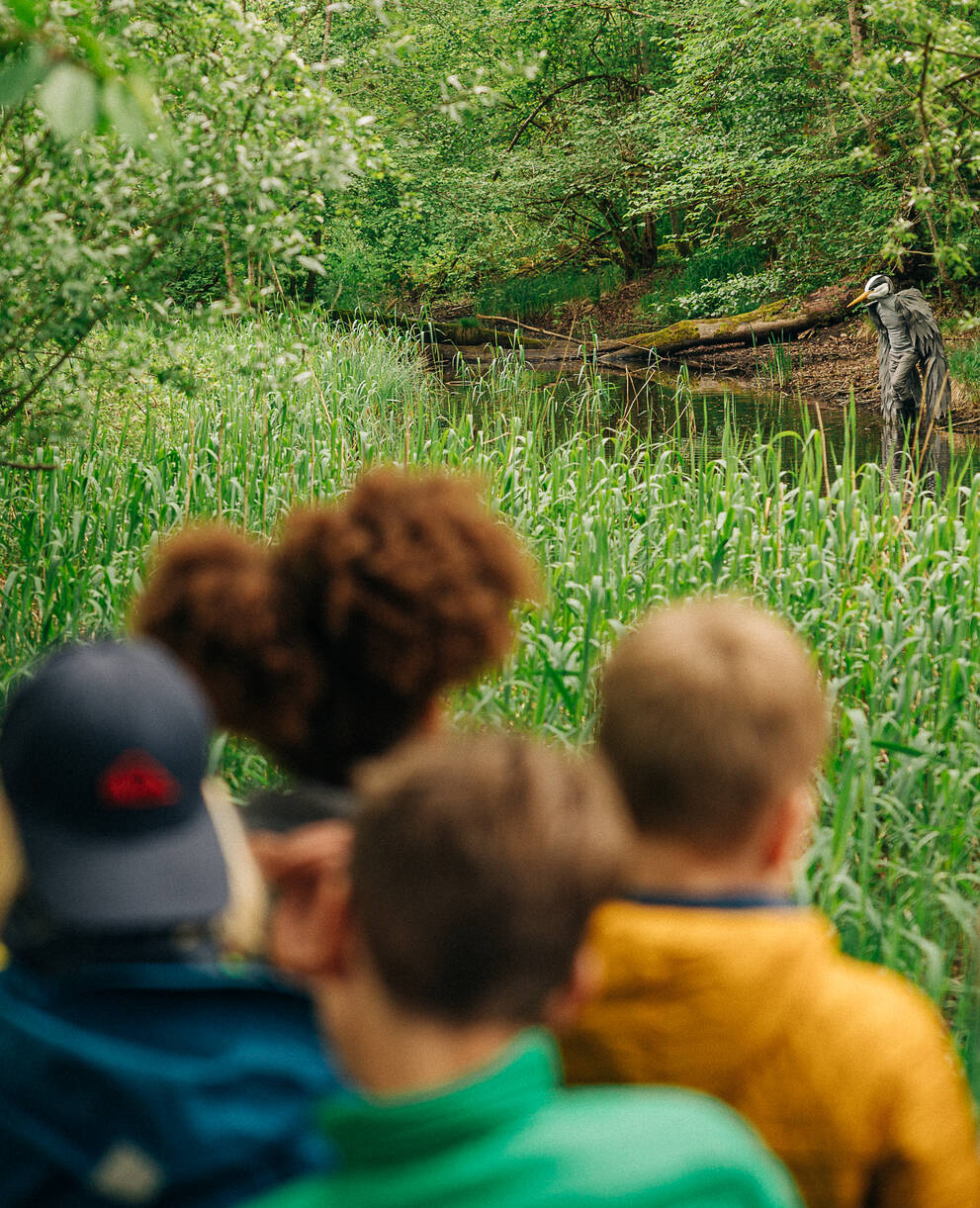 Kinder beim Beobachten des Graureihers