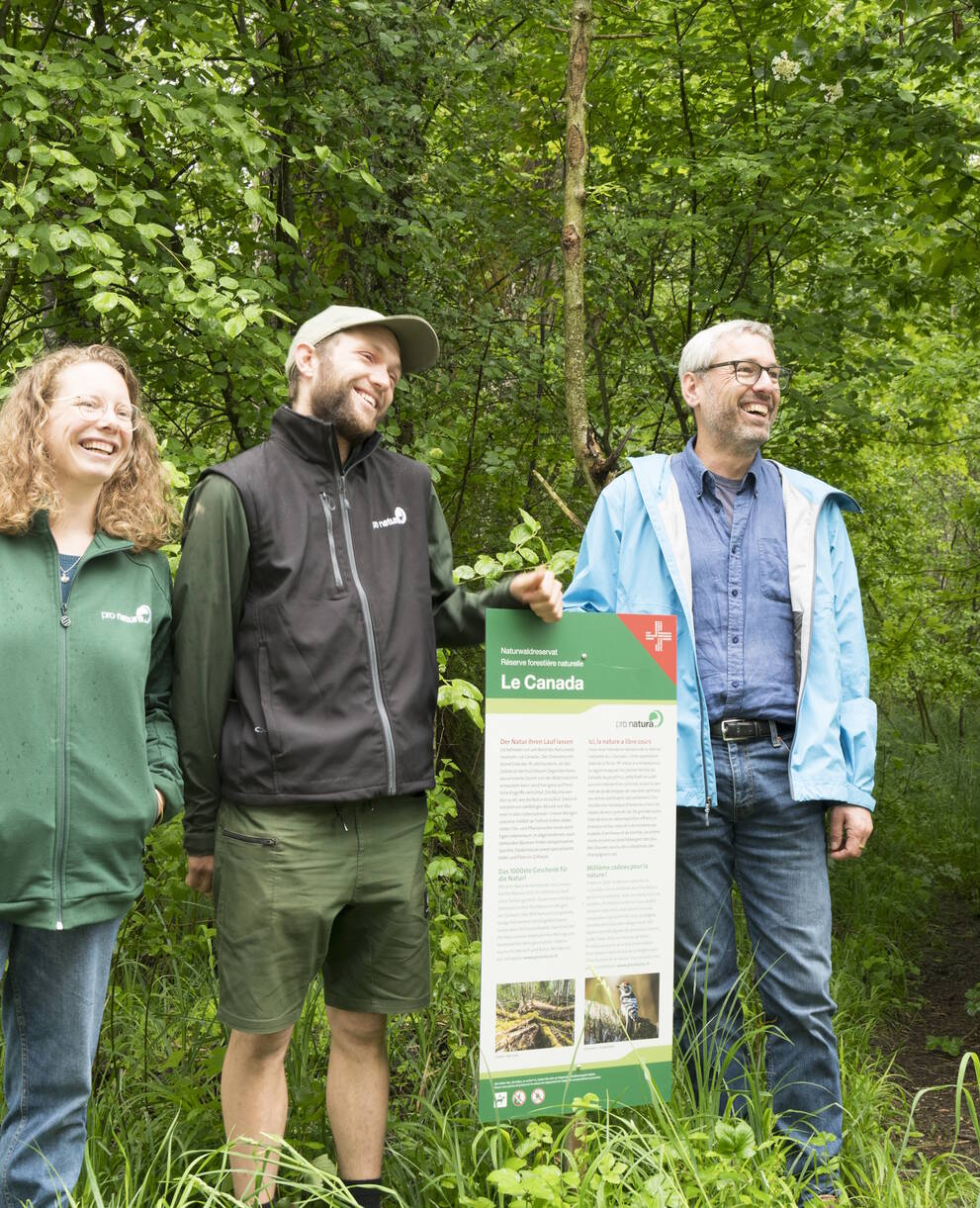 Le Canada: Das Naturwaldreservat am Neuenburgersee ist das tausendste geschützte Gebiet von Pro Natura