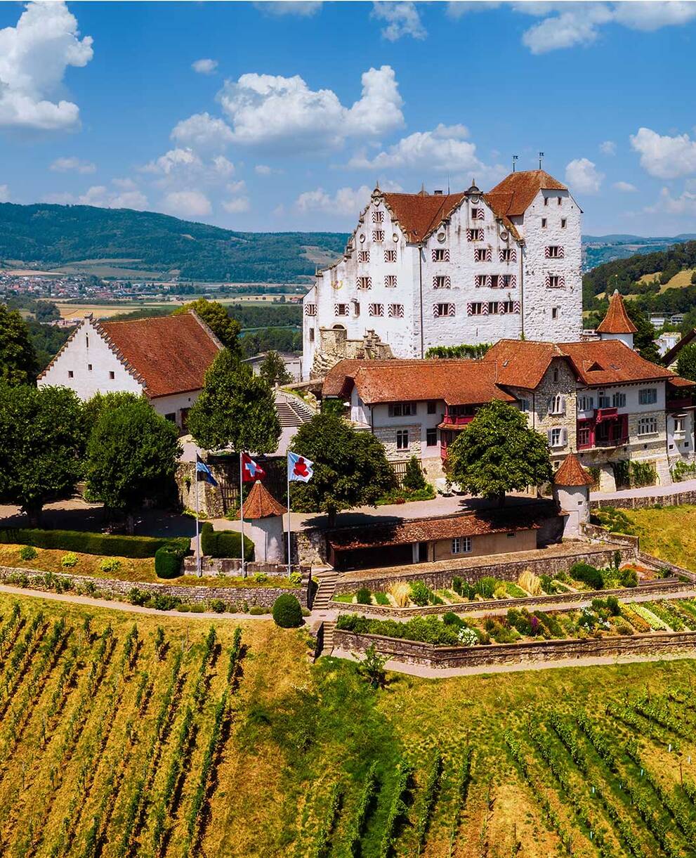 Tagesexkursion Chestenberg, Pflanzenund Landschaft