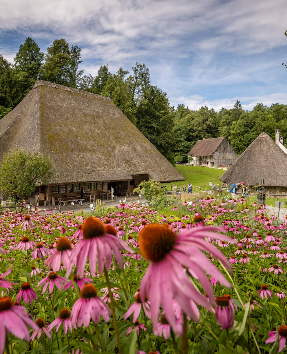 Ballenberg, Freilichtmuseum der Schweiz