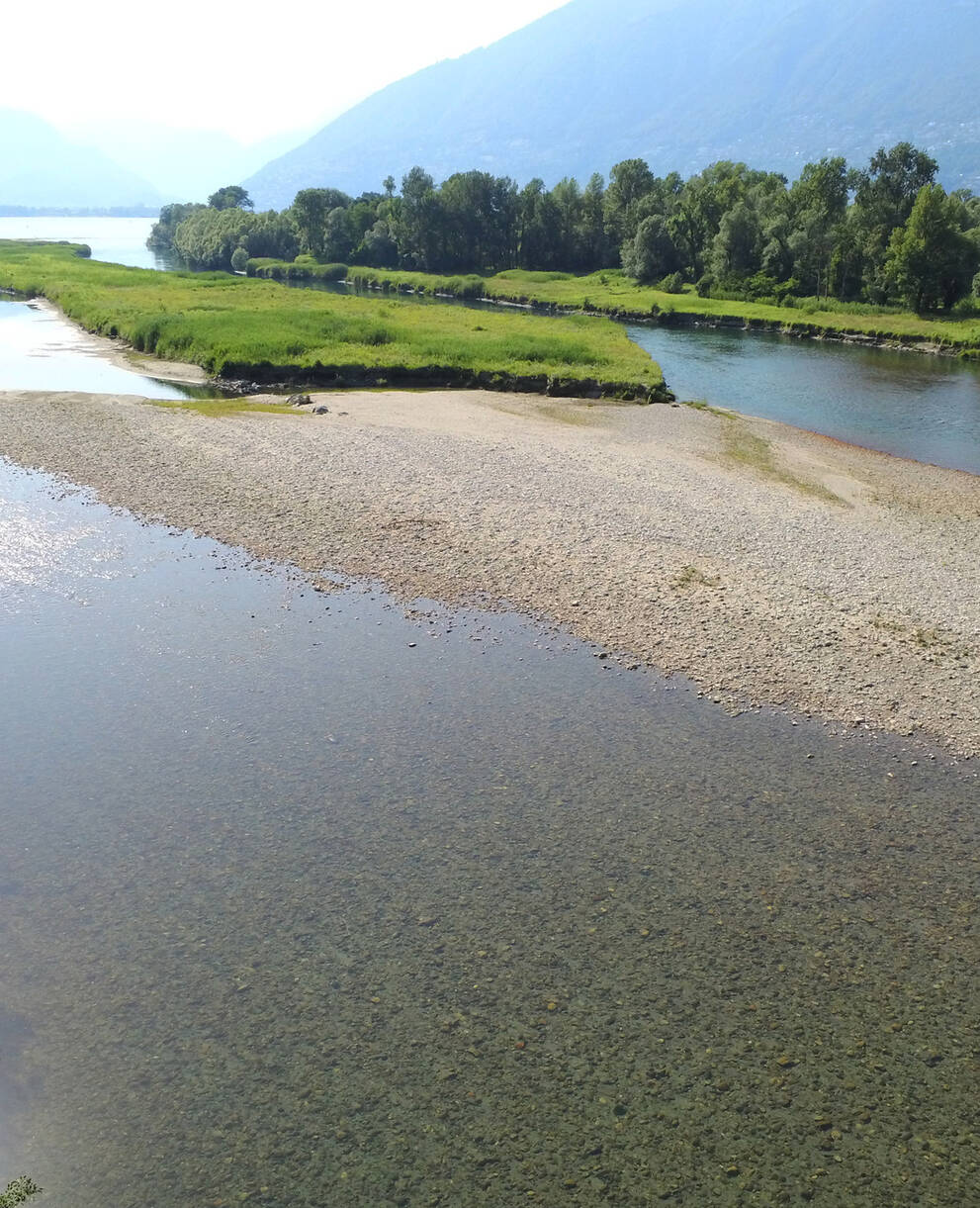 Ramsar-Feuchtgebiet und Pro Natura-Schutzgebiet Bolle di Magadino