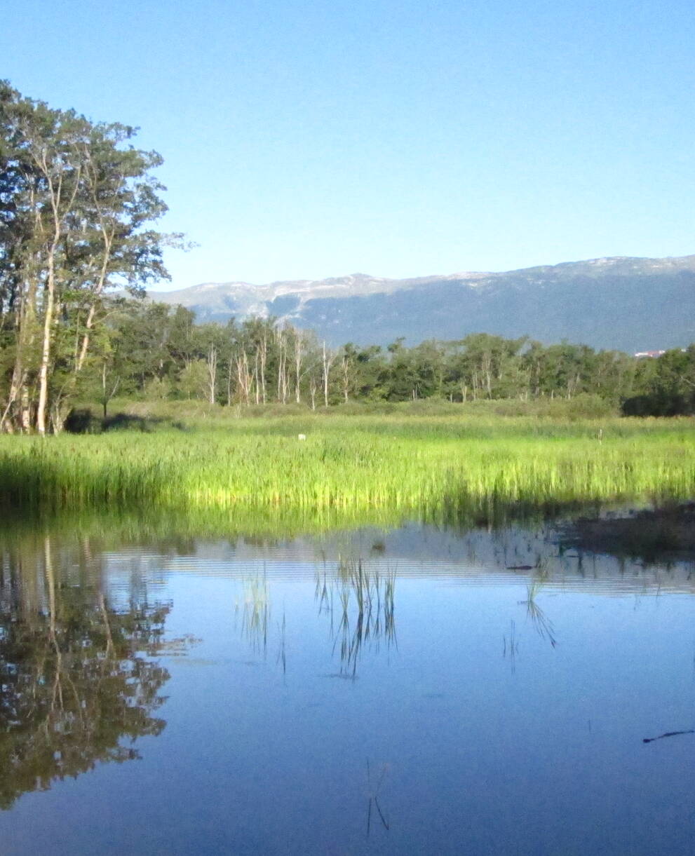 Réserve naturelle de Mategnin les Fontaines