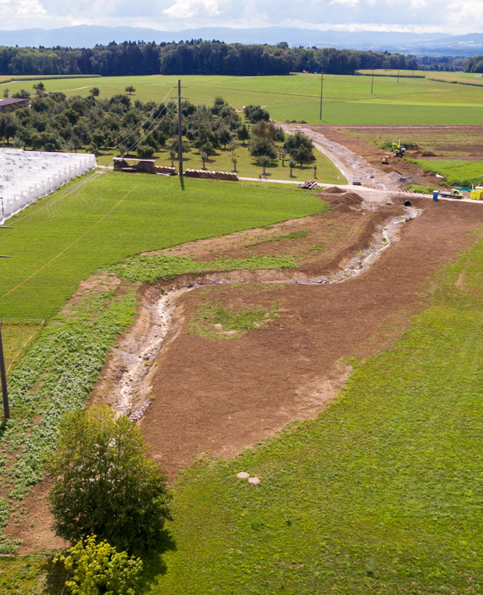Bachrenaturierung Langrickenbach
