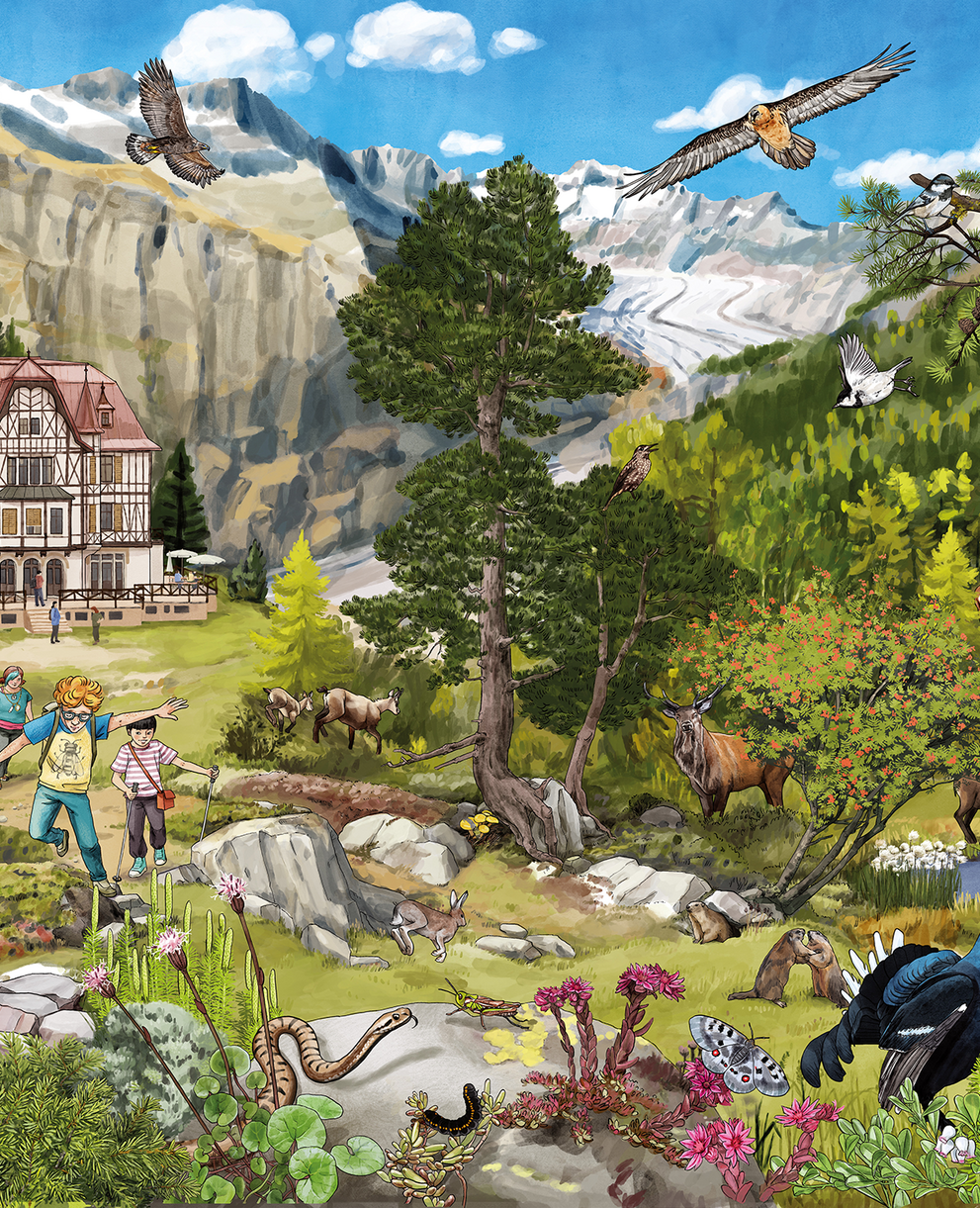 Illustration einer Berglandschaft in der Schweiz