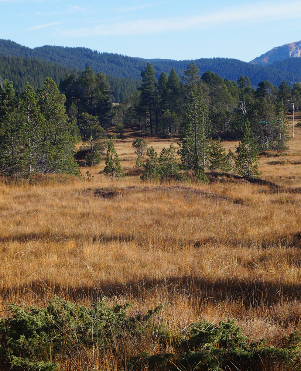 Moor Glaubenberg